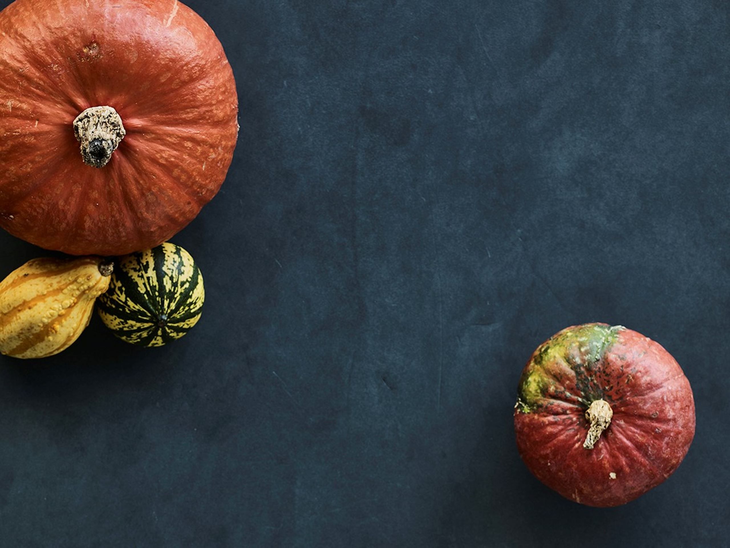 “Man spiser jo ikke noget, fordi det er bæredygtigt produceret. Man spiser det, fordi det smager godt” – indtryk fra Nordic Food Innovation Summit