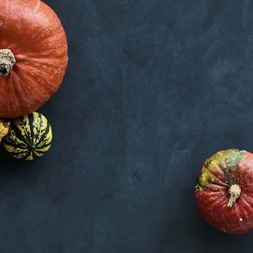 “Man spiser jo ikke noget, fordi det er bæredygtigt produceret. Man spiser det, fordi det smager godt” – indtryk fra Nordic Food Innovation Summit