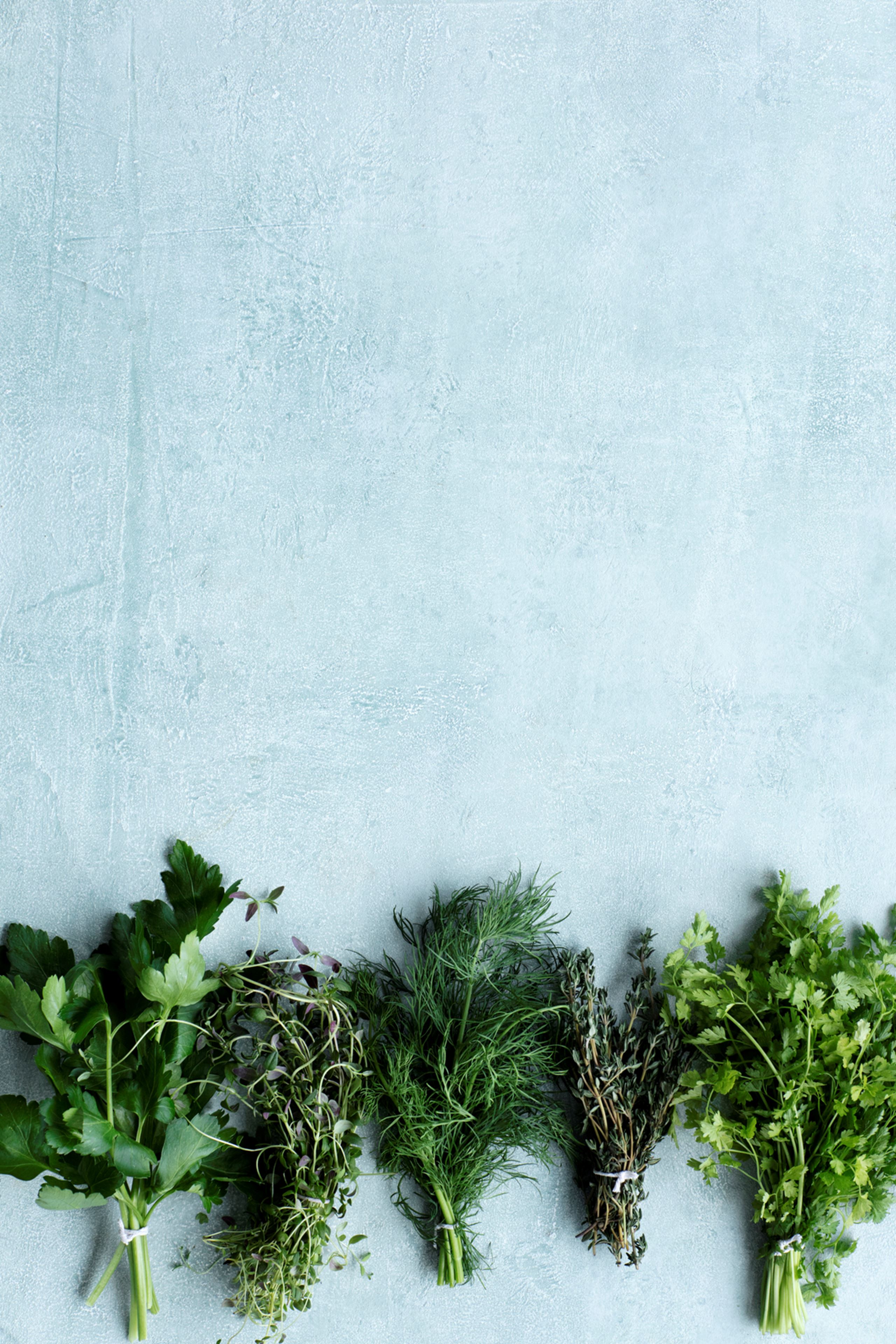 Guide til krydderurter