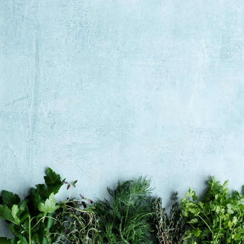 Guide til krydderurter