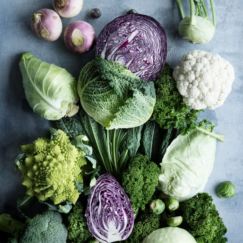 Veje og genveje til grøn umami