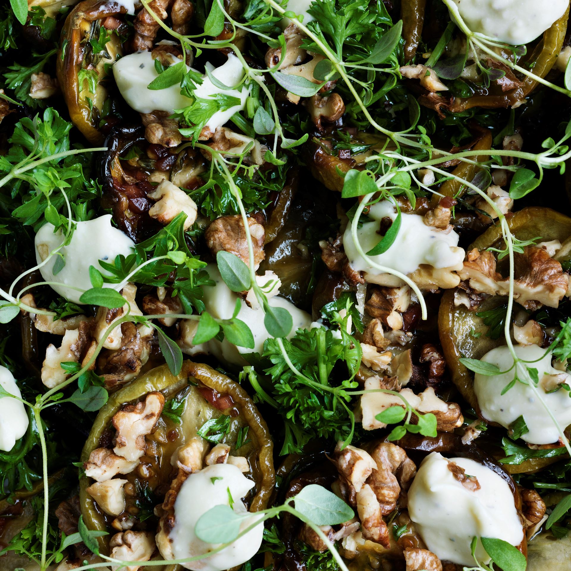 Bagte grønne tomater med blå ost, valnødder, timian og kruspersille