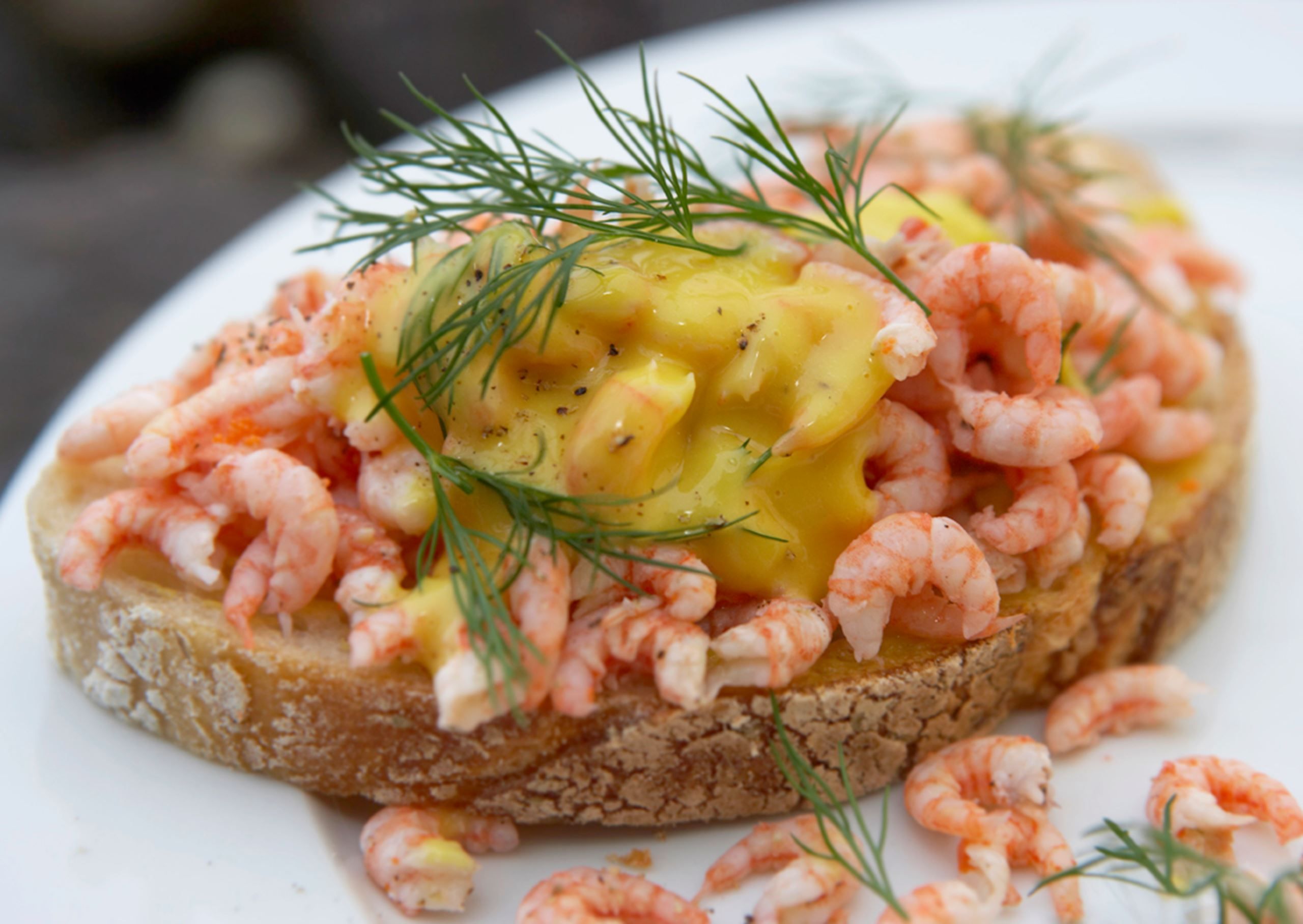 Rejemad med mayo og dild