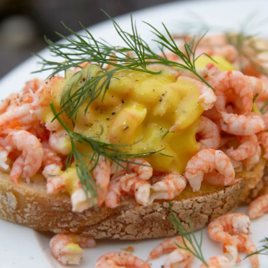 Rejemad med mayo og dild