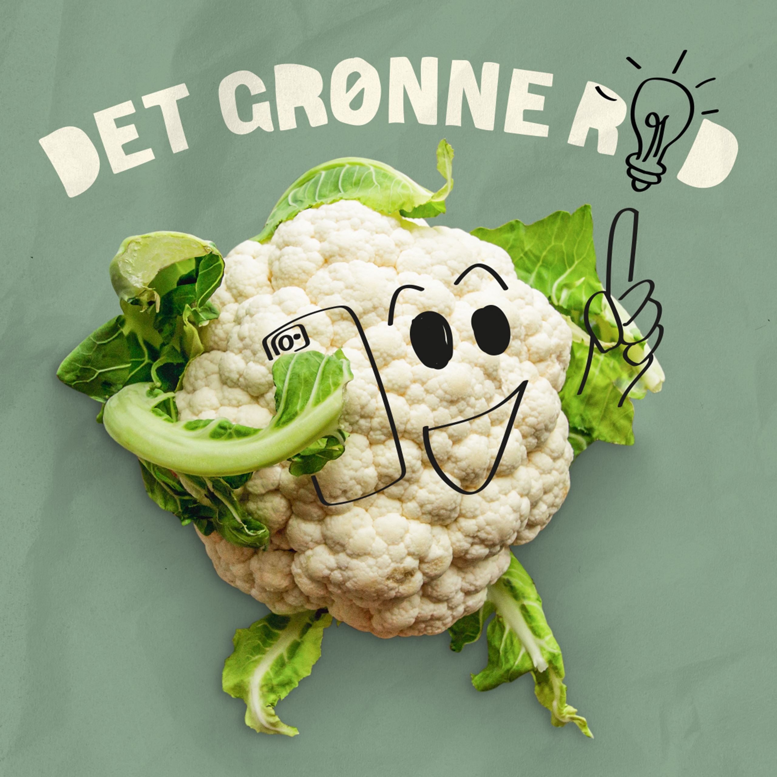 Spørg 'Det Grønne Råd'