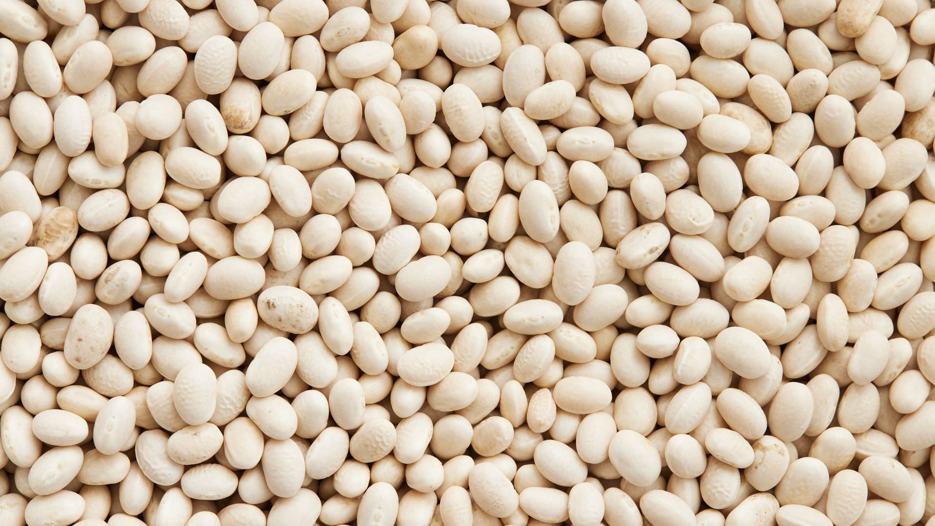 Bønnesalat med soltørrede tomater og forårsløg