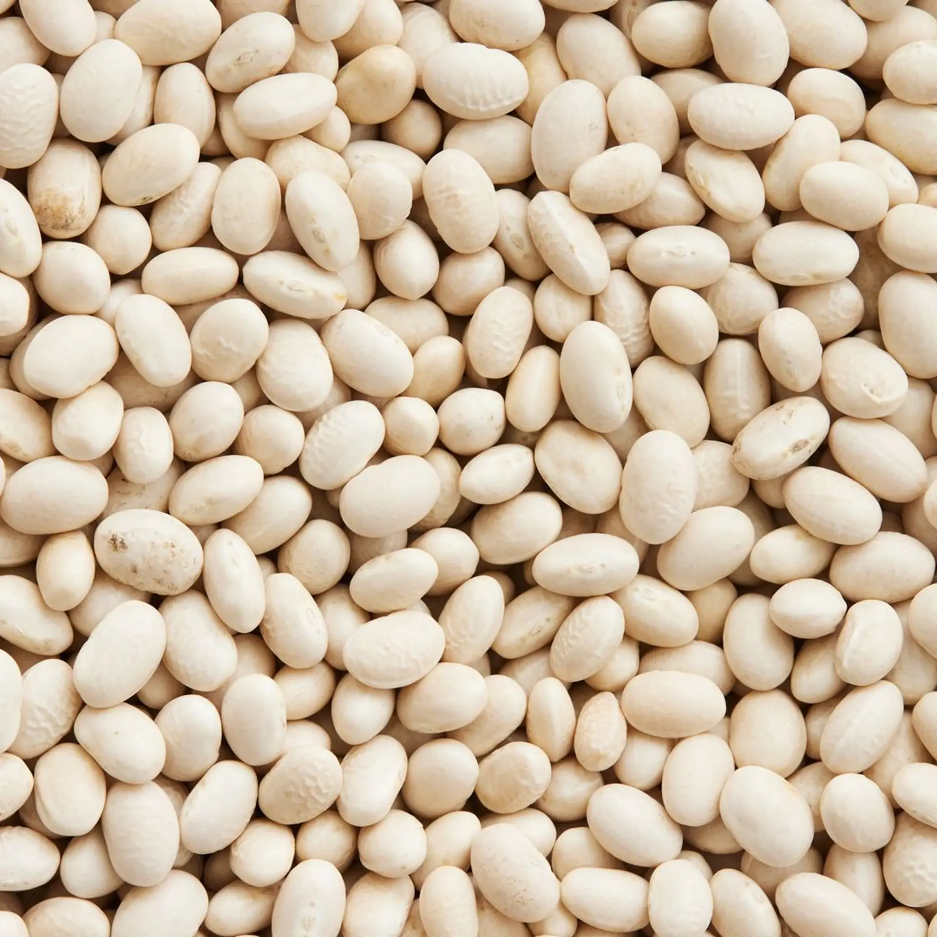 Bønnesalat med soltørrede tomater og forårsløg