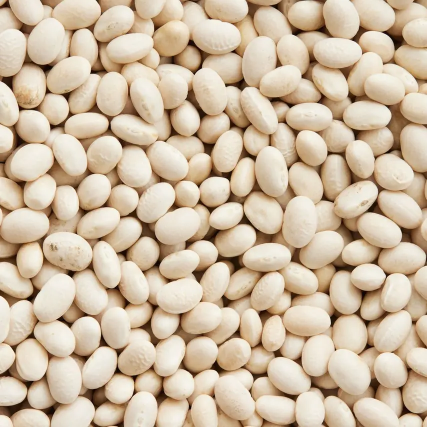 Bønnesalat med soltørrede tomater og forårsløg