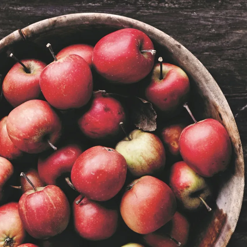 Æblemos og æblesorbet med hasselnødder, tørrede æbler og sirup