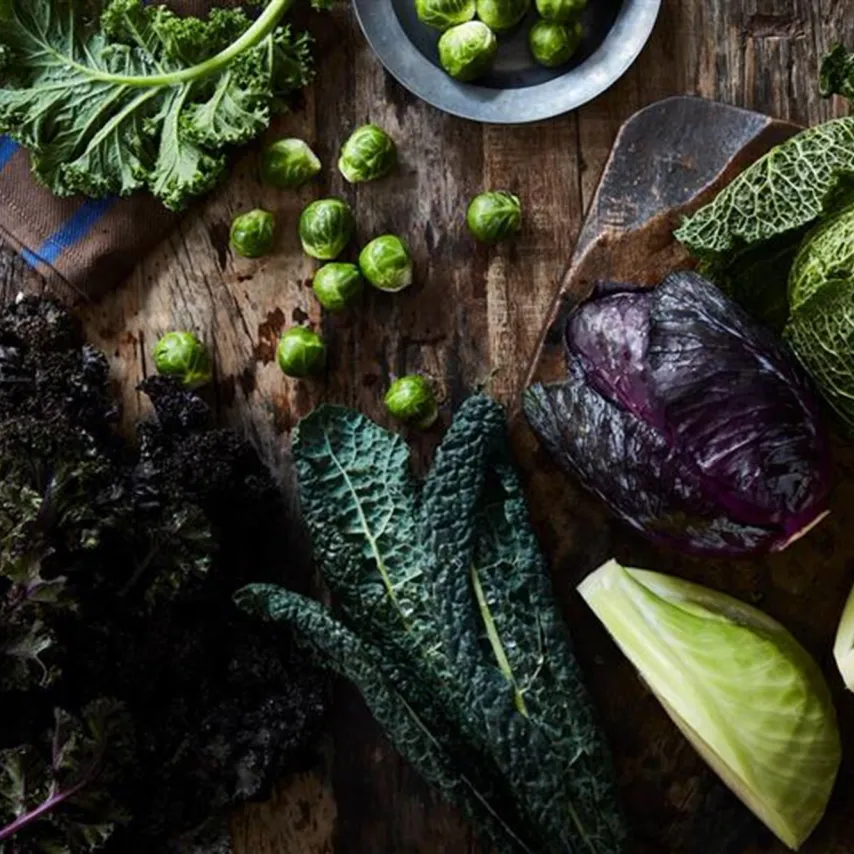 Få en grøn start i 2026