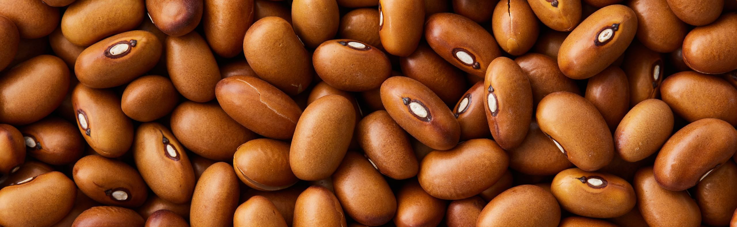 Brune bønner fra Øland