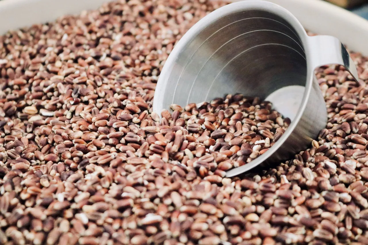 Masterclasses i bælgfrugter og fremtidens brødkultur