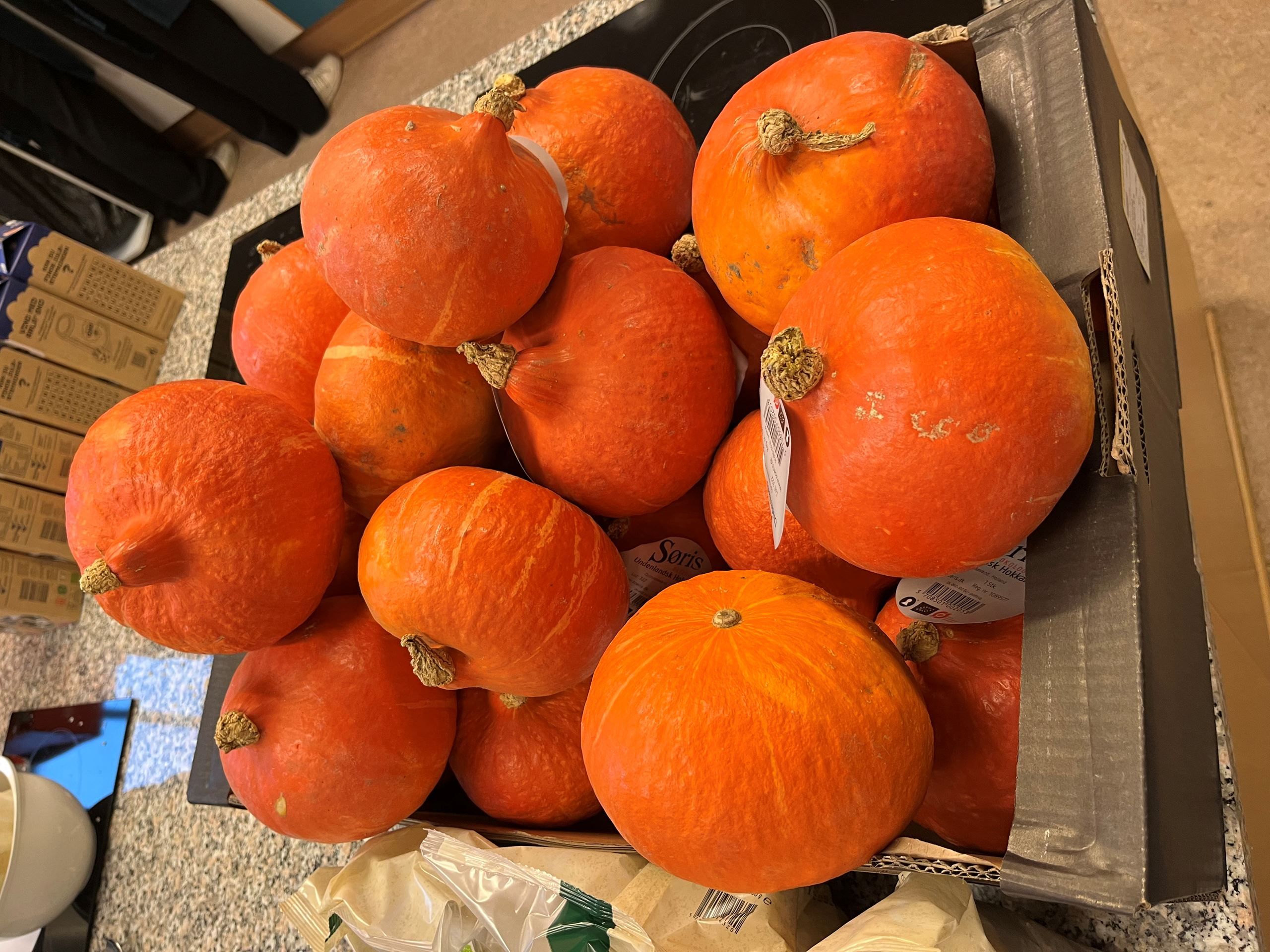 Grønne indspark til en hvid jul