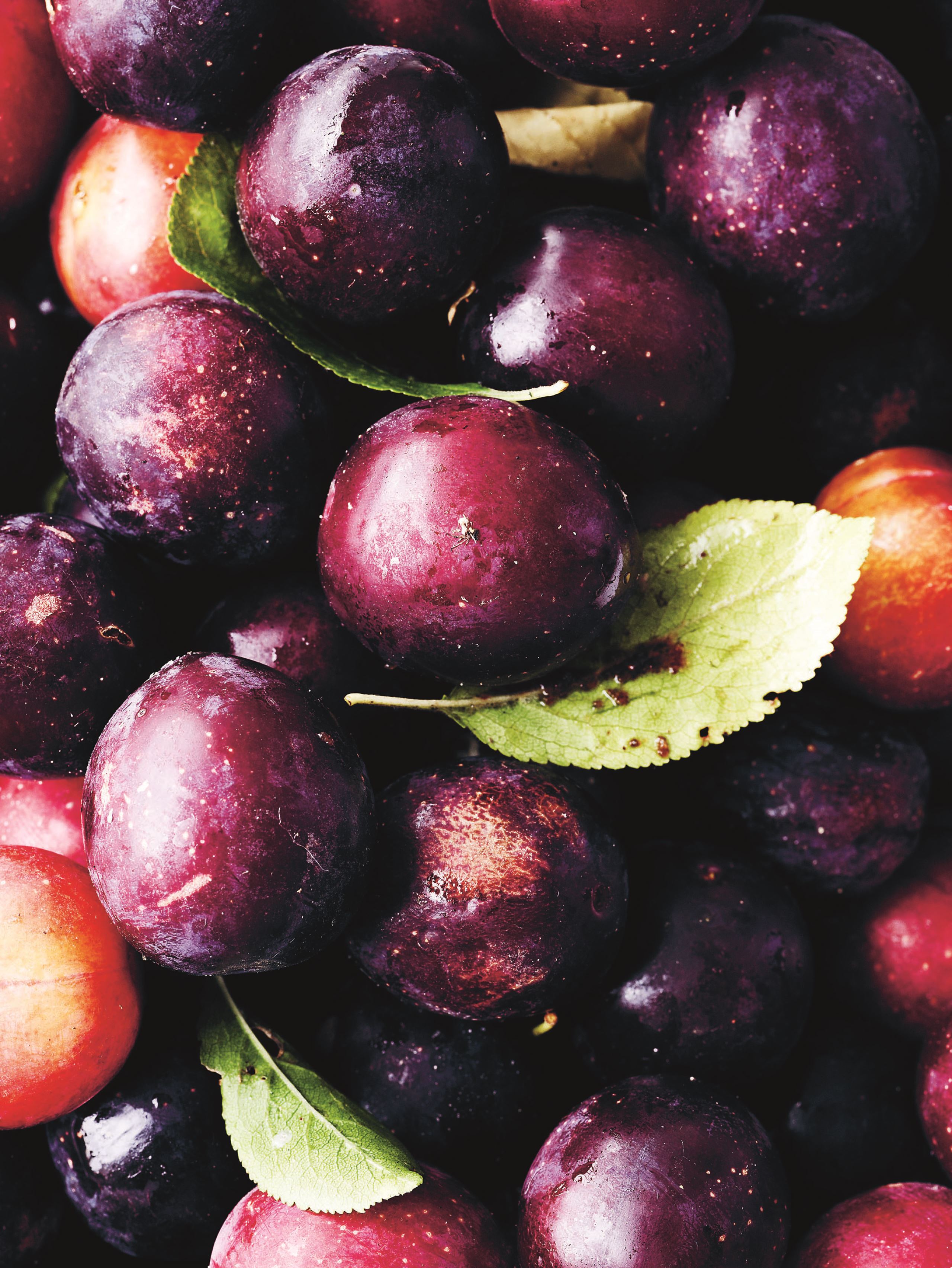 Brug de vidunderlige danske blommer