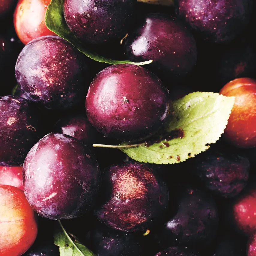 Brug de vidunderlige danske blommer