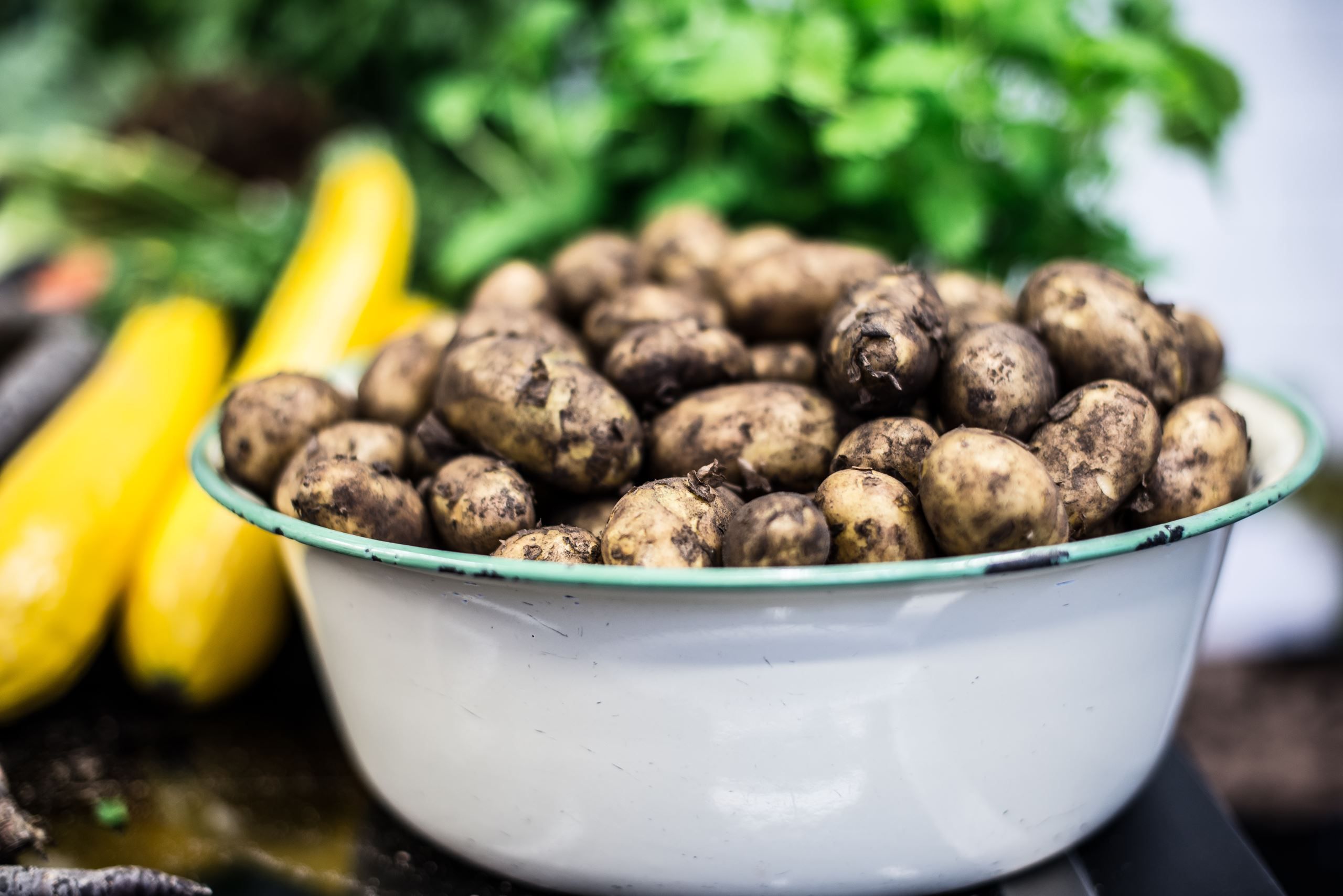 Sådan sparer du penge i køkkenet
