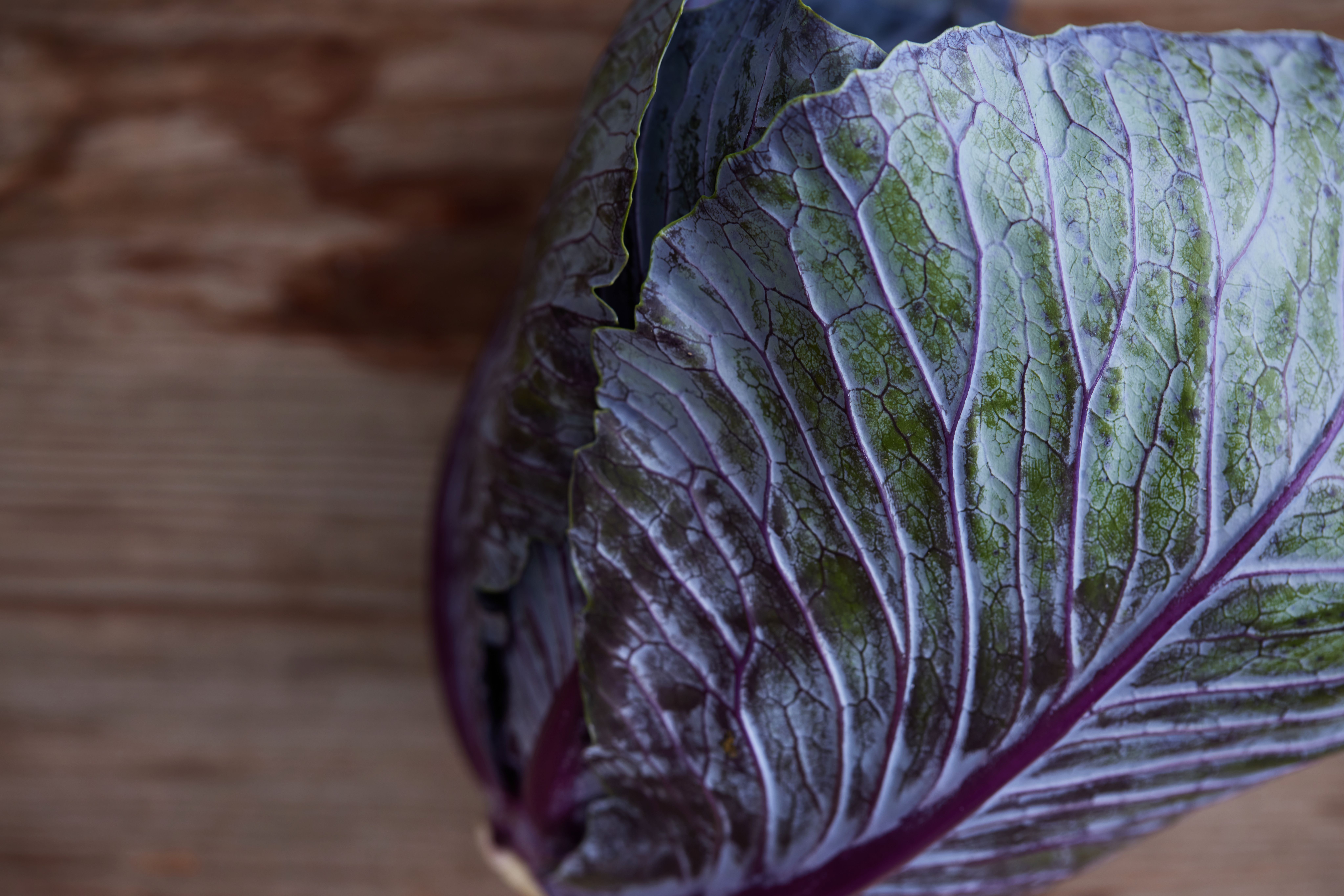 bæredygtighed​​​​‌﻿‍﻿​‍​‍‌‍﻿﻿‌﻿​‍‌‍‍‌‌‍‌﻿‌‍‍‌‌‍﻿‍​‍​‍​﻿‍‍​‍​‍‌﻿​﻿‌‍​‌‌‍﻿‍‌‍‍‌‌﻿‌​‌﻿‍‌​‍﻿‍‌‍‍‌‌‍﻿﻿​‍​‍​‍﻿​​‍​‍‌‍‍​‌﻿​‍‌‍‌‌‌‍‌‍​‍​‍​﻿‍‍​‍​‍‌‍‍​‌﻿‌​‌﻿‌​‌﻿​​‌﻿​﻿​﻿‍‍​‍﻿﻿​‍﻿﻿‌‍﻿‌‌‍‌‌‌﻿‍‌‌‍‌‌‌﻿​‍‌﻿​﻿​‍﻿‍‌﻿​﻿‌‍​‌‌‍﻿‍‌‍‍‌‌﻿‌​‌﻿‍‌​‍﻿‍‌﻿​﻿‌﻿‌​‌﻿‌‌‌‍‌​‌‍‍‌‌‍﻿﻿​‍﻿﻿‌‍‍‌‌‍﻿‍‌﻿‌​‌‍‌‌‌‍﻿‍‌﻿‌​​‍﻿﻿‌‍‌‌‌‍‌​‌‍‍‌‌﻿‌​​‍﻿﻿‌‍﻿‌‌‍﻿﻿‌‍‌​‌‍‌‌​﻿﻿‌‌﻿​​‌﻿​‍‌‍‌‌‌﻿​﻿‌‍‌‌‌‍﻿‍‌﻿‌​‌‍​‌‌﻿‌​‌‍‍‌‌‍﻿﻿‌‍﻿‍​﻿‍﻿‌‍‍‌‌‍‌​​﻿﻿‌‌‍​﻿‌‍​‌‌‍﻿‍‌﻿‌​‌‍‍‌‌‍﻿‍‌‍​‌‌‌​﻿‌‍‍‌‌‍﻿‍‌‍‌﻿‌‍﻿​‌‍‌‌‌﻿‌​‌‍﻿﻿‌‍﻿‍​﻿‍﻿‌﻿‌​‌﻿‍‌‌﻿​​‌‍‌‌​﻿﻿‌‌‍​﻿‌‍​‌‌‍﻿‍‌﻿‌​‌‍‍‌‌‍﻿‍‌‍​‌‌‌​﻿‌‍‍‌‌‍﻿‍‌‍‌﻿‌‍﻿​‌‍‌‌‌﻿‌​‌‍﻿﻿‌‍﻿‍​﻿‍﻿‌﻿​​‌‍​‌‌﻿‌​‌‍‍​​﻿﻿‌‌‍​‍‌‍​‌‌‍﻿‍‌‍﻿‍‌‍‌‌‌﻿​‍‌​‍‌‌‍﻿‌‌‍​‌‌‍‌﻿‌‍‌‌​‍﻿‍‌‍​‌‌‍﻿​‌﻿‌​​﻿﻿﻿‌‍​‍‌‍​‌‌﻿​﻿‌‍‌‌‌‌‌‌‌﻿​‍‌‍﻿​​﻿﻿‌‌‍‍​‌﻿‌​‌﻿‌​‌﻿​​‌﻿​﻿​‍‌‌​﻿​﻿‌​​‌​‍‌‌​﻿​‍‌​‌‍​‍‌‌​﻿​‍‌​‌‍‌‍﻿‌‌‍‌‌‌﻿‍‌‌‍‌‌‌﻿​‍‌﻿​﻿​‍﻿‍‌﻿​﻿‌‍​‌‌‍﻿‍‌‍‍‌‌﻿‌​‌﻿‍‌​‍﻿‍‌﻿​﻿‌﻿‌​‌﻿‌‌‌‍‌​‌‍‍‌‌‍﻿﻿​‍‌‍‌‍‍‌‌‍‌​​﻿﻿‌‌‍​﻿‌‍​‌‌‍﻿‍‌﻿‌​‌‍‍‌‌‍﻿‍‌‍​‌‌‌​﻿‌‍‍‌‌‍﻿‍‌‍‌﻿‌‍﻿​‌‍‌‌‌﻿‌​‌‍﻿﻿‌‍﻿‍​‍‌‍‌﻿‌​‌﻿‍‌‌﻿​​‌‍‌‌​﻿﻿‌‌‍​﻿‌‍​‌‌‍﻿‍‌﻿‌​‌‍‍‌‌‍﻿‍‌‍​‌‌‌​﻿‌‍‍‌‌‍﻿‍‌‍‌﻿‌‍﻿​‌‍‌‌‌﻿‌​‌‍﻿﻿‌‍﻿‍​‍‌‍‌﻿​​‌‍​‌‌﻿‌​‌‍‍​​﻿﻿‌‌‍​‍‌‍​‌‌‍﻿‍‌‍﻿‍‌‍‌‌‌﻿​‍‌​‍‌‌‍﻿‌‌‍​‌‌‍‌﻿‌‍‌‌​‍﻿‍‌‍​‌‌‍﻿​‌﻿‌​​‍‌‍‌﻿​​‌‍‌‌‌﻿​‍‌﻿​﻿‌﻿​​‌‍‌‌‌‍​﻿‌﻿‌​‌‍‍‌‌﻿‌‍‌‍‌‌​﻿﻿‌‌﻿​​‌﻿‌‌‌‍​‍‌‍﻿​‌‍‍‌‌﻿​﻿‌‍‍​‌‍‌‌‌‍‌​​‍​‍‌﻿﻿‌