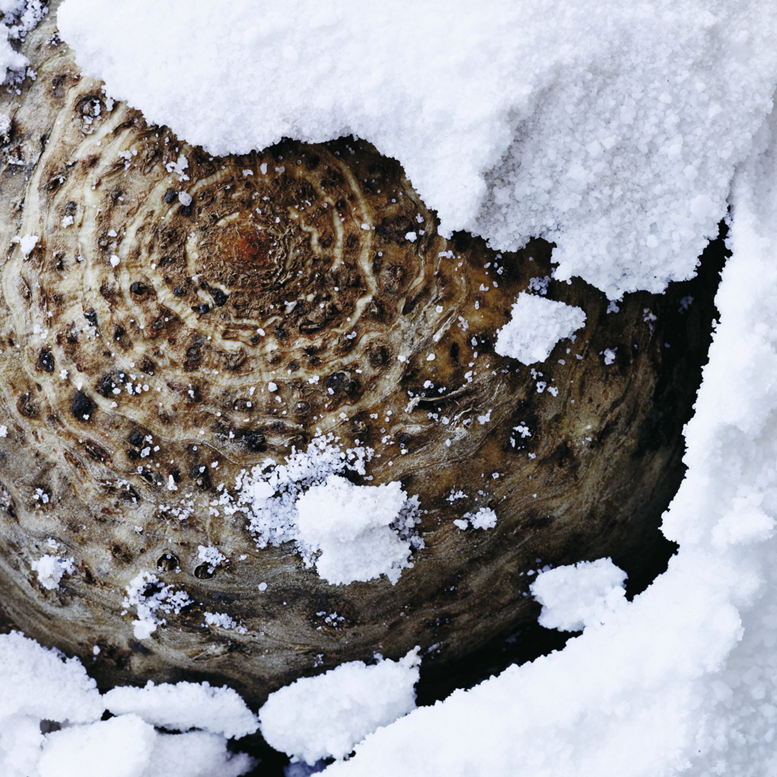 Saltbagt selleri med 'juledrys'