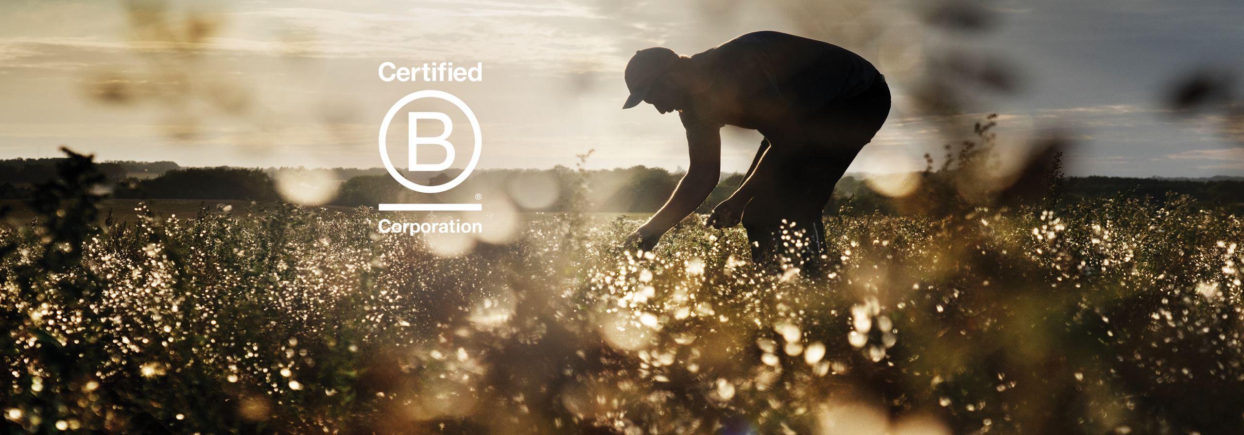 Meyers tager næste skridt på bæredygtighedsrejse med B Corp-certificering 