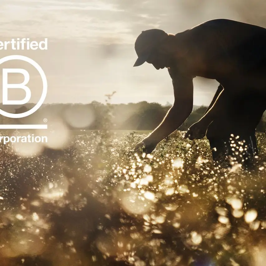 Meyers tager næste skridt på bæredygtighedsrejse med B Corp-certificering