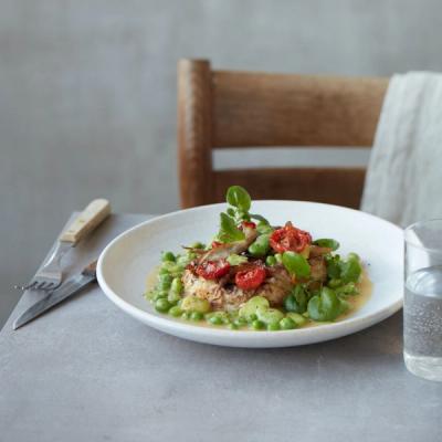 Bagt og grillet selleri med stegte østershatte, langtidsbagte tomater og hestebønneragout