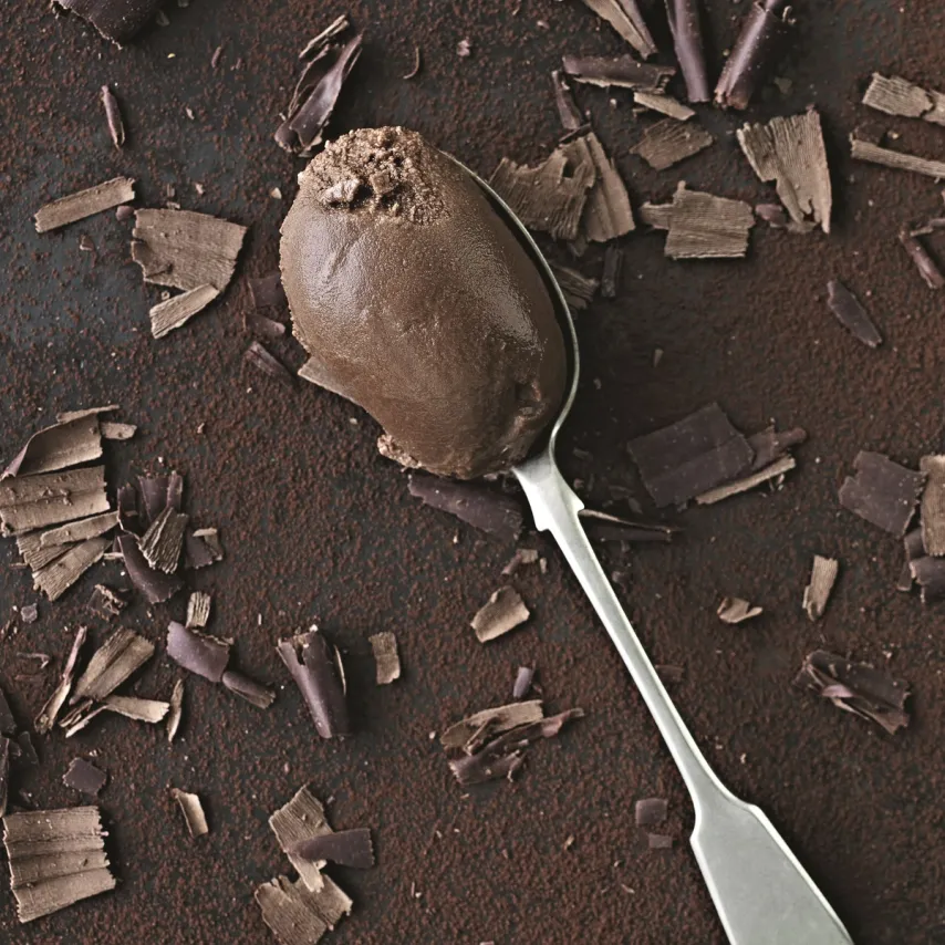 Sorbet med mørk chokolade