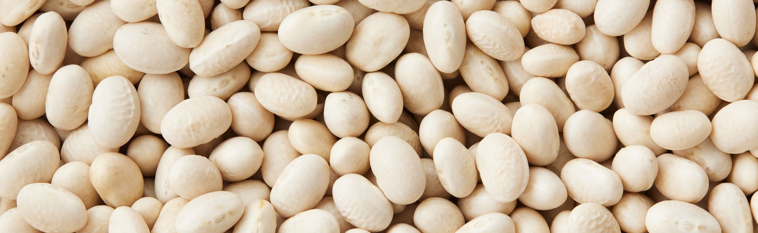 Hvide bønner