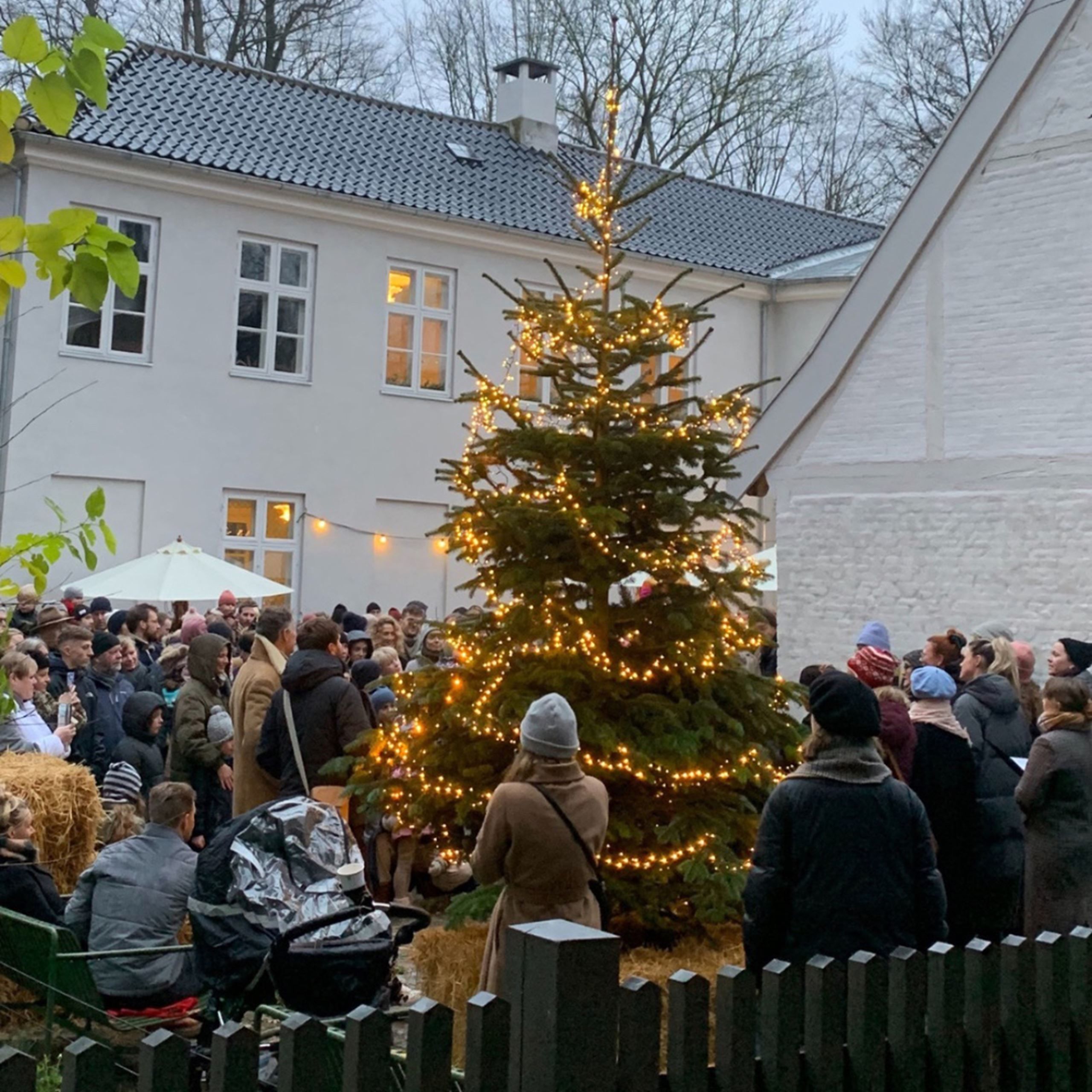 Det sker i julen på Fasangården, Tårnet, Sult og i Meyers Bageri 