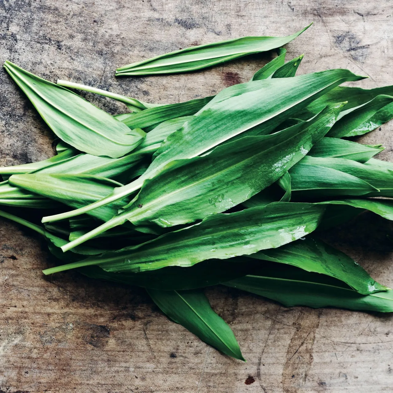 Bring foråret ind i køkkenet ved at servere ramsløg