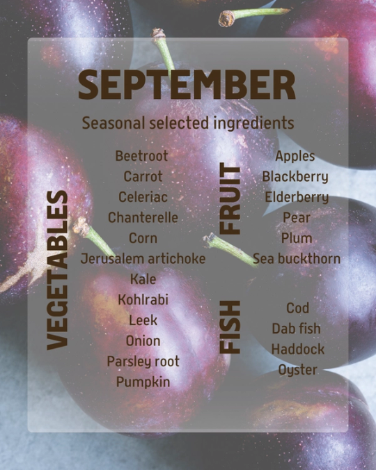 September Ingredients What to eat in September | Meyers