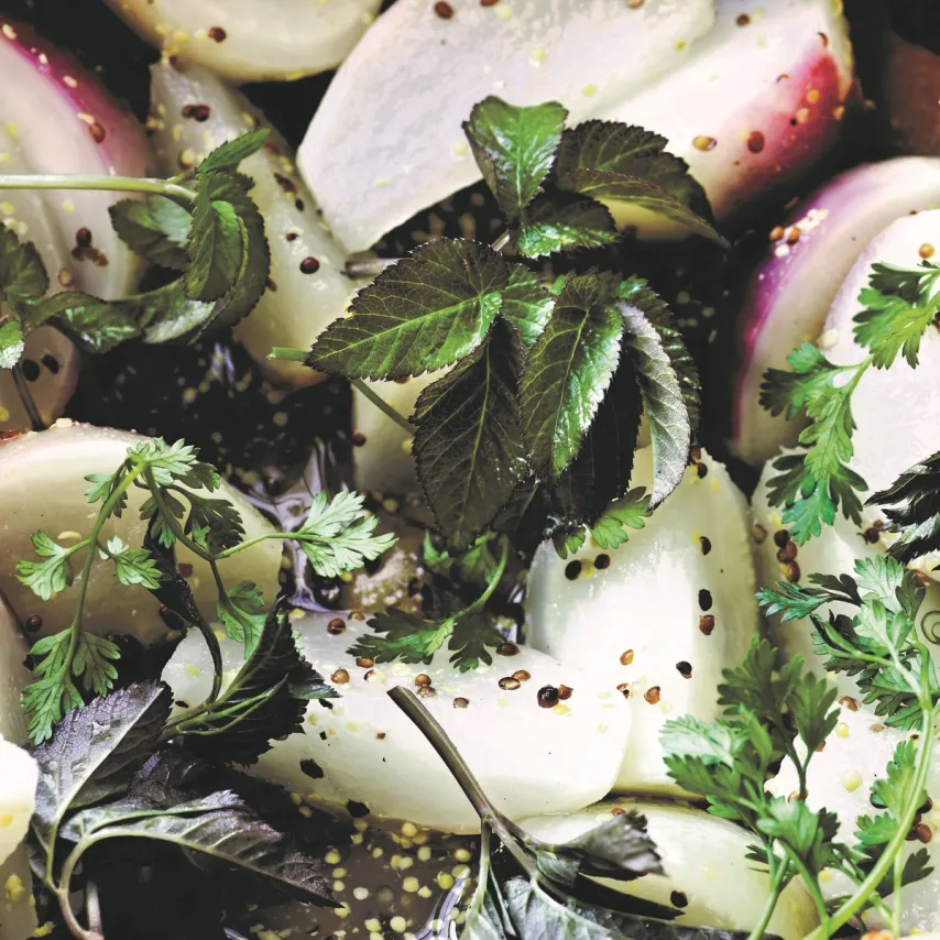 Kogte majroer med sennep, cidereddike og skvalderkål