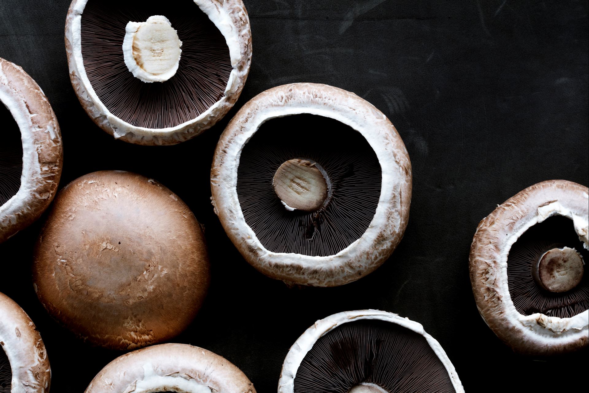 Annas pasta med tempeh, stegte svampe, fløde og trøffel