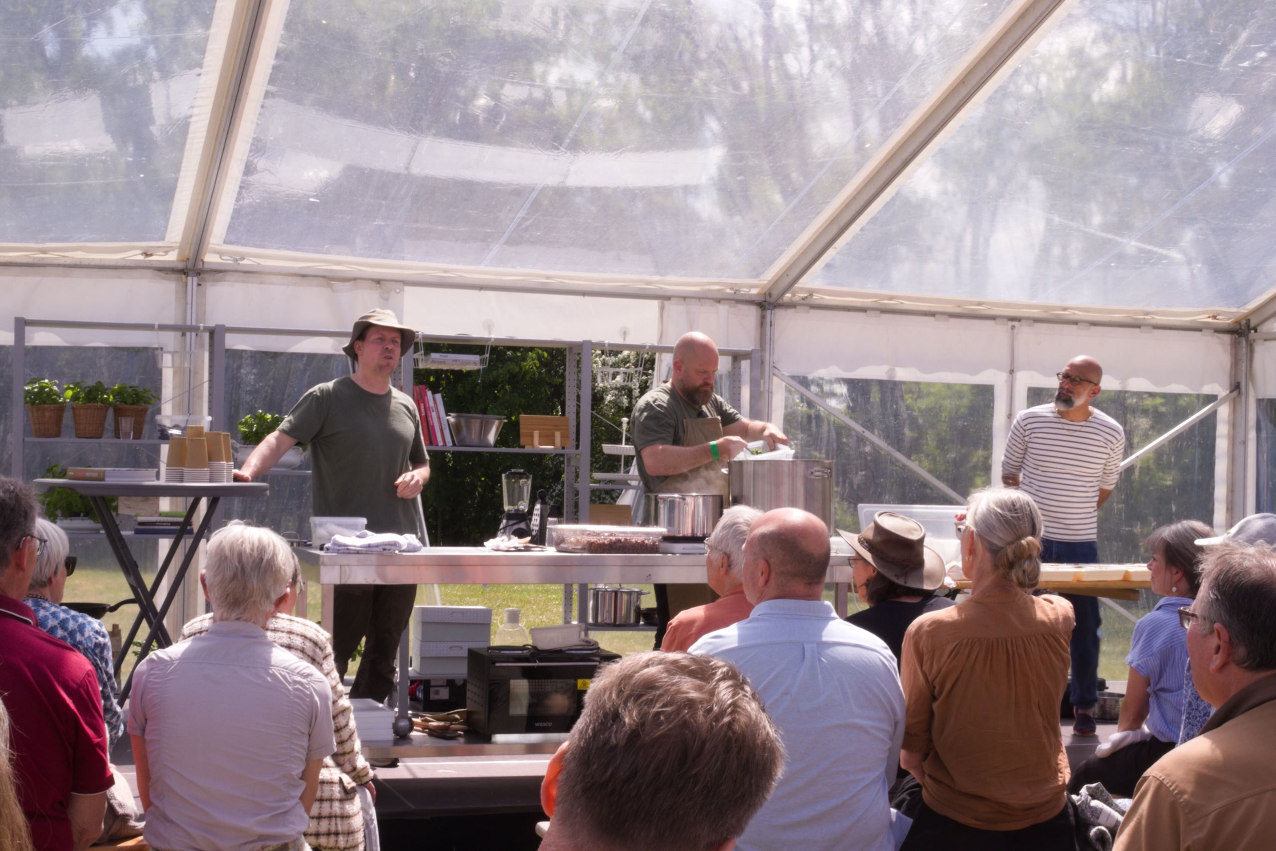 Masterclass i bælgfrugter