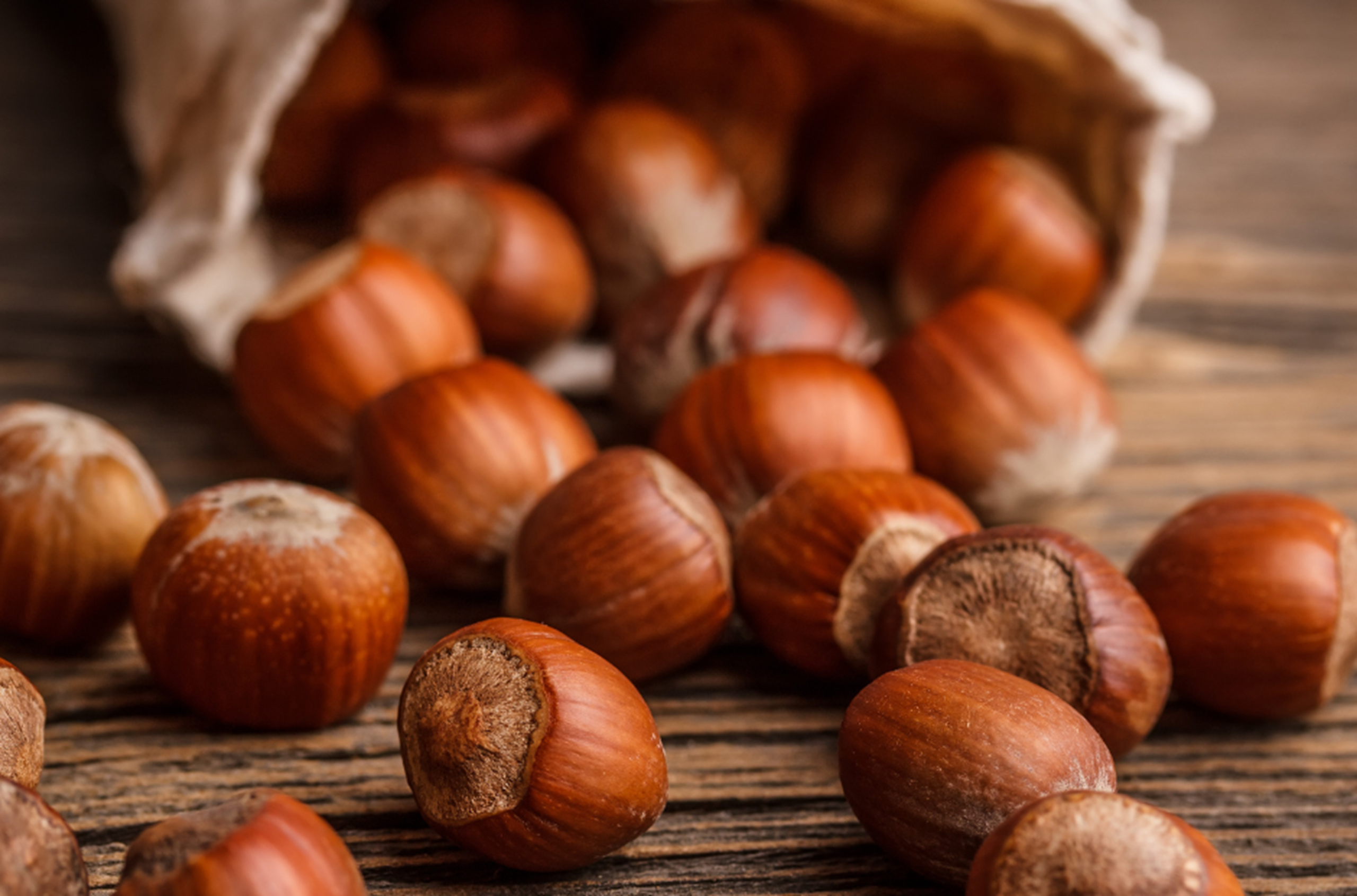 Historien om hasselnødden