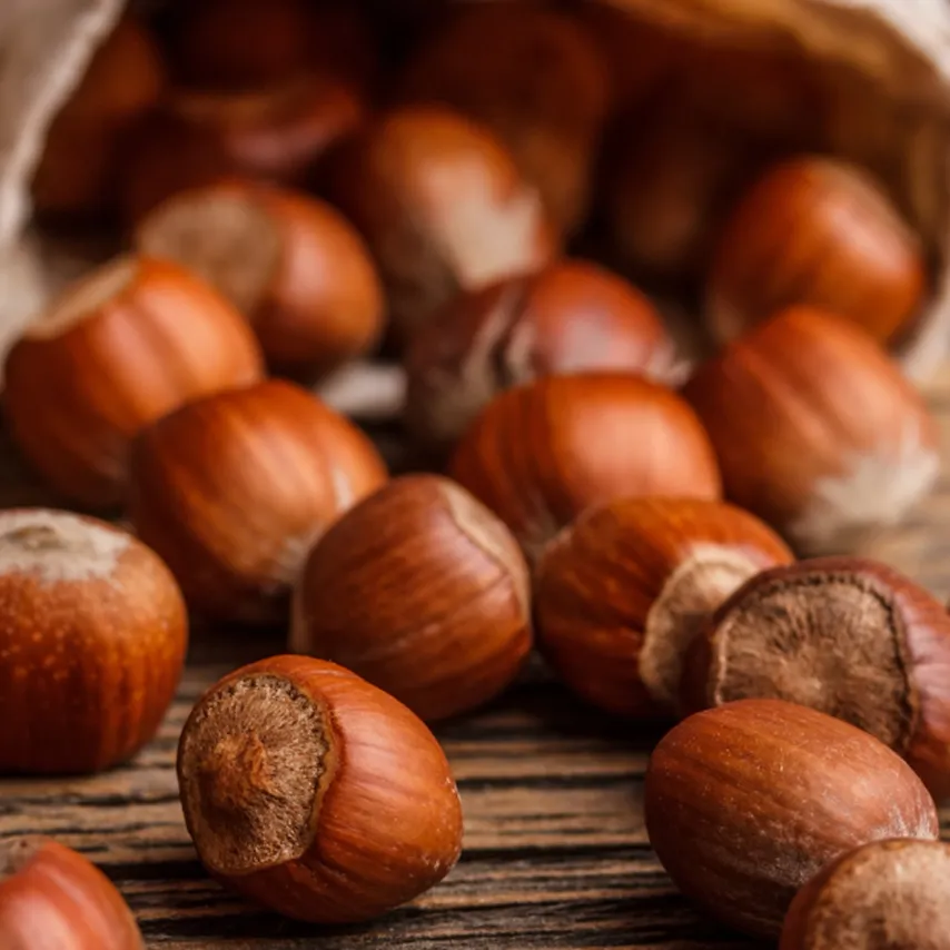 Historien om hasselnødden