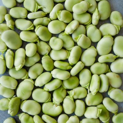 Brown / Green Sprouted Moong Amti