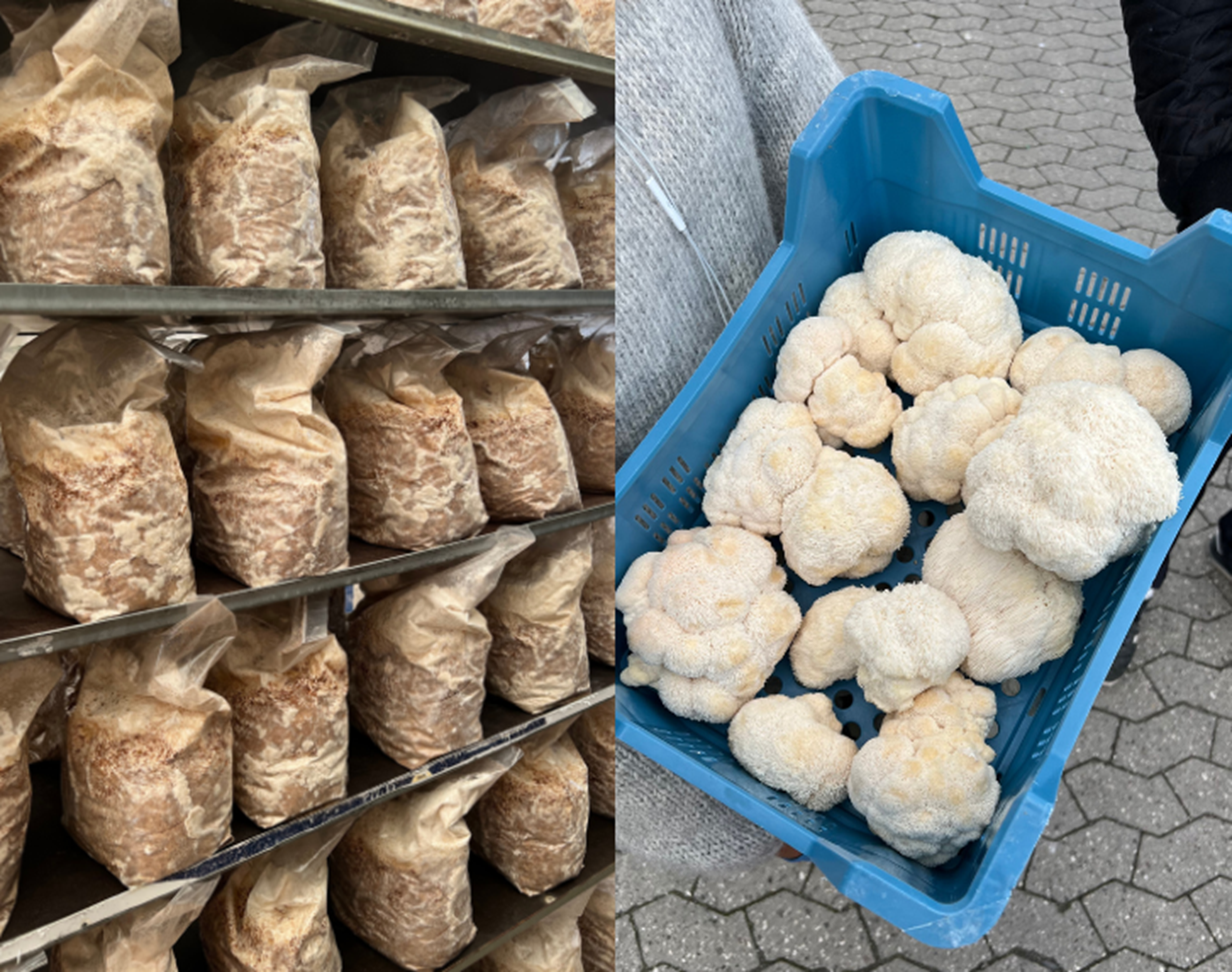 Mød en samarbejdspartner - Beyond Coffee