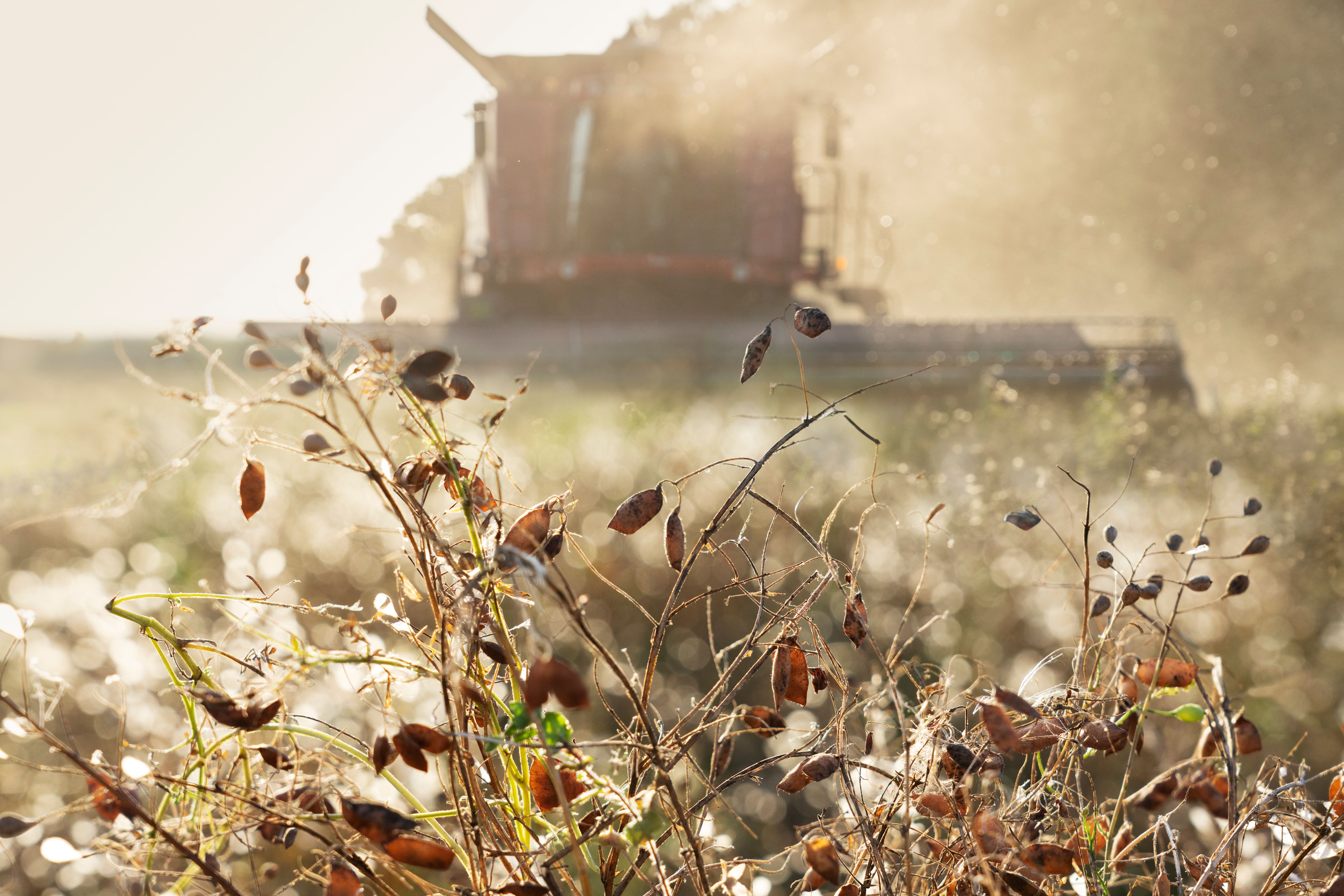 bæredygtihed​​​​‌﻿‍﻿​‍​‍‌‍﻿﻿‌﻿​‍‌‍‍‌‌‍‌﻿‌‍‍‌‌‍﻿‍​‍​‍​﻿‍‍​‍​‍‌﻿​﻿‌‍​‌‌‍﻿‍‌‍‍‌‌﻿‌​‌﻿‍‌​‍﻿‍‌‍‍‌‌‍﻿﻿​‍​‍​‍﻿​​‍​‍‌‍‍​‌﻿​‍‌‍‌‌‌‍‌‍​‍​‍​﻿‍‍​‍​‍‌‍‍​‌﻿‌​‌﻿‌​‌﻿​​‌﻿​﻿​﻿‍‍​‍﻿﻿​‍﻿﻿‌‍﻿‌‌‍‌‌‌﻿‍‌‌‍‌‌‌﻿​‍‌﻿​﻿​‍﻿‍‌﻿​﻿‌‍​‌‌‍﻿‍‌‍‍‌‌﻿‌​‌﻿‍‌​‍﻿‍‌﻿​﻿‌﻿‌​‌﻿‌‌‌‍‌​‌‍‍‌‌‍﻿﻿​‍﻿﻿‌‍‍‌‌‍﻿‍‌﻿‌​‌‍‌‌‌‍﻿‍‌﻿‌​​‍﻿﻿‌‍‌‌‌‍‌​‌‍‍‌‌﻿‌​​‍﻿﻿‌‍﻿‌‌‍﻿﻿‌‍‌​‌‍‌‌​﻿﻿‌‌﻿​​‌﻿​‍‌‍‌‌‌﻿​﻿‌‍‌‌‌‍﻿‍‌﻿‌​‌‍​‌‌﻿‌​‌‍‍‌‌‍﻿﻿‌‍﻿‍​﻿‍﻿‌‍‍‌‌‍‌​​﻿﻿‌‌‍﻿​‌﻿‌‌‌‍﻿‍‌‍​﻿‌‍‍​‌‌​﻿‌‍‍‌‌‍﻿‍‌‍‌﻿‌‍﻿​‌‍‌‌‌﻿‌​‌‍﻿﻿‌‍﻿‍​﻿‍﻿‌﻿‌​‌﻿‍‌‌﻿​​‌‍‌‌​﻿﻿‌‌‍﻿​‌﻿‌‌‌‍﻿‍‌‍​﻿‌‍‍​‌‌​﻿‌‍‍‌‌‍﻿‍‌‍‌﻿‌‍﻿​‌‍‌‌‌﻿‌​‌‍﻿﻿‌‍﻿‍​﻿‍﻿‌﻿​​‌‍​‌‌﻿‌​‌‍‍​​﻿﻿‌‌﻿‌​‌‍‌‌‌﻿‍​‌﻿‌​‌​﻿​‌‍​‌‌﻿​‍‌‍‌﻿‌‍‌‌‌​‍‌‌‍﻿‌‌‍​‌‌‍‌﻿‌‍‌‌​‍﻿‍‌‍​‌‌‍﻿​‌﻿‌​​﻿﻿﻿‌‍​‍‌‍​‌‌﻿​﻿‌‍‌‌‌‌‌‌‌﻿​‍‌‍﻿​​﻿﻿‌‌‍‍​‌﻿‌​‌﻿‌​‌﻿​​‌﻿​﻿​‍‌‌​﻿​﻿‌​​‌​‍‌‌​﻿​‍‌​‌‍​‍‌‌​﻿​‍‌​‌‍‌‍﻿‌‌‍‌‌‌﻿‍‌‌‍‌‌‌﻿​‍‌﻿​﻿​‍﻿‍‌﻿​﻿‌‍​‌‌‍﻿‍‌‍‍‌‌﻿‌​‌﻿‍‌​‍﻿‍‌﻿​﻿‌﻿‌​‌﻿‌‌‌‍‌​‌‍‍‌‌‍﻿﻿​‍‌‍‌‍‍‌‌‍‌​​﻿﻿‌‌‍﻿​‌﻿‌‌‌‍﻿‍‌‍​﻿‌‍‍​‌‌​﻿‌‍‍‌‌‍﻿‍‌‍‌﻿‌‍﻿​‌‍‌‌‌﻿‌​‌‍﻿﻿‌‍﻿‍​‍‌‍‌﻿‌​‌﻿‍‌‌﻿​​‌‍‌‌​﻿﻿‌‌‍﻿​‌﻿‌‌‌‍﻿‍‌‍​﻿‌‍‍​‌‌​﻿‌‍‍‌‌‍﻿‍‌‍‌﻿‌‍﻿​‌‍‌‌‌﻿‌​‌‍﻿﻿‌‍﻿‍​‍‌‍‌﻿​​‌‍​‌‌﻿‌​‌‍‍​​﻿﻿‌‌﻿‌​‌‍‌‌‌﻿‍​‌﻿‌​‌​﻿​‌‍​‌‌﻿​‍‌‍‌﻿‌‍‌‌‌​‍‌‌‍﻿‌‌‍​‌‌‍‌﻿‌‍‌‌​‍﻿‍‌‍​‌‌‍﻿​‌﻿‌​​‍‌‍‌﻿​​‌‍‌‌‌﻿​‍‌﻿​﻿‌﻿​​‌‍‌‌‌‍​﻿‌﻿‌​‌‍‍‌‌﻿‌‍‌‍‌‌​﻿﻿‌‌﻿​​‌﻿‌‌‌‍​‍‌‍﻿​‌‍‍‌‌﻿​﻿‌‍‍​‌‍‌‌‌‍‌​​‍​‍‌﻿﻿‌