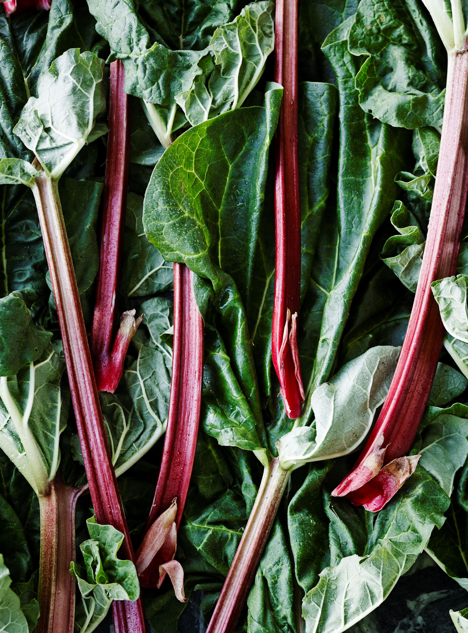 Bagte rabarber med hasselnøddeflager​​​​‌﻿‍﻿​‍​‍‌‍﻿﻿‌﻿​‍‌‍‍‌‌‍‌﻿‌‍‍‌‌‍﻿‍​‍​‍​﻿‍‍​‍​‍‌﻿​﻿‌‍​‌‌‍﻿‍‌‍‍‌‌﻿‌​‌﻿‍‌​‍﻿‍‌‍‍‌‌‍﻿﻿​‍​‍​‍﻿​​‍​‍‌‍‍​‌﻿​‍‌‍‌‌‌‍‌‍​‍​‍​﻿‍‍​‍​‍‌‍‍​‌﻿‌​‌﻿‌​‌﻿​​‌﻿​﻿​﻿‍‍​‍﻿﻿​‍﻿﻿‌‍﻿‌‌‍‌‌‌﻿‍‌‌‍‌‌‌﻿​‍‌﻿​﻿​‍﻿‍‌﻿​﻿‌‍​‌‌‍﻿‍‌‍‍‌‌﻿‌​‌﻿‍‌​‍﻿‍‌﻿​﻿‌﻿‌​‌﻿‌‌‌‍‌​‌‍‍‌‌‍﻿﻿​‍﻿﻿‌‍‍‌‌‍﻿‍‌﻿‌​‌‍‌‌‌‍﻿‍‌﻿‌​​‍﻿﻿‌‍‌‌‌‍‌​‌‍‍‌‌﻿‌​​‍﻿﻿‌‍﻿‌‌‍﻿﻿‌‍‌​‌‍‌‌​﻿﻿‌‌﻿​​‌﻿​‍‌‍‌‌‌﻿​﻿‌‍‌‌‌‍﻿‍‌﻿‌​‌‍​‌‌﻿‌​‌‍‍‌‌‍﻿﻿‌‍﻿‍​﻿‍﻿‌‍‍‌‌‍‌​​﻿﻿‌​﻿‍​‌‍‌‍‌‍‌‍​﻿‌​​﻿​‍​﻿‌​​﻿‌‍​﻿​﻿​‍﻿‌​﻿‌‍​﻿​‍​﻿‌‍​﻿‍​​‍﻿‌​﻿‌‌‌‍‌​​﻿​​​﻿‌‌​‍﻿‌​﻿‍‌‌‍‌‌​﻿​﻿​﻿​‌​‍﻿‌​﻿‌﻿​﻿‌​‌‍‌‍‌‍‌‍​﻿‍‌​﻿​‍​﻿‌‌‌‍‌‍​﻿​‍​﻿‍‌​﻿​‍​﻿​‍​﻿‍﻿‌﻿‌​‌﻿‍‌‌﻿​​‌‍‌‌​﻿﻿‌‌﻿​‍‌‍‌‌‌‍​﻿‌‍‍‌‌﻿​​‌‍‌‌​﻿‍﻿‌﻿​​‌‍​‌‌﻿‌​‌‍‍​​﻿﻿‌‌‍‍‌‌‍﻿‌‌‍​‌‌‍‌﻿‌‍‌‌​‍﻿‍‌‍​‌‌‍﻿​‌﻿‌​​﻿﻿﻿‌‍​‍‌‍​‌‌﻿​﻿‌‍‌‌‌‌‌‌‌﻿​‍‌‍﻿​​﻿﻿‌‌‍‍​‌﻿‌​‌﻿‌​‌﻿​​‌﻿​﻿​‍‌‌​﻿​﻿‌​​‌​‍‌‌​﻿​‍‌​‌‍​‍‌‌​﻿​‍‌​‌‍‌‍﻿‌‌‍‌‌‌﻿‍‌‌‍‌‌‌﻿​‍‌﻿​﻿​‍﻿‍‌﻿​﻿‌‍​‌‌‍﻿‍‌‍‍‌‌﻿‌​‌﻿‍‌​‍﻿‍‌﻿​﻿‌﻿‌​‌﻿‌‌‌‍‌​‌‍‍‌‌‍﻿﻿​‍‌‍‌‍‍‌‌‍‌​​﻿﻿‌​﻿‍​‌‍‌‍‌‍‌‍​﻿‌​​﻿​‍​﻿‌​​﻿‌‍​﻿​﻿​‍﻿‌​﻿‌‍​﻿​‍​﻿‌‍​﻿‍​​‍﻿‌​﻿‌‌‌‍‌​​﻿​​​﻿‌‌​‍﻿‌​﻿‍‌‌‍‌‌​﻿​﻿​﻿​‌​‍﻿‌​﻿‌﻿​﻿‌​‌‍‌‍‌‍‌‍​﻿‍‌​﻿​‍​﻿‌‌‌‍‌‍​﻿​‍​﻿‍‌​﻿​‍​﻿​‍​‍‌‍‌﻿‌​‌﻿‍‌‌﻿​​‌‍‌‌​﻿﻿‌‌﻿​‍‌‍‌‌‌‍​﻿‌‍‍‌‌﻿​​‌‍‌‌​‍‌‍‌﻿​​‌‍​‌‌﻿‌​‌‍‍​​﻿﻿‌‌‍‍‌‌‍﻿‌‌‍​‌‌‍‌﻿‌‍‌‌​‍﻿‍‌‍​‌‌‍﻿​‌﻿‌​​‍‌‍‌﻿​​‌‍‌‌‌﻿​‍‌﻿​﻿‌﻿​​‌‍‌‌‌‍​﻿‌﻿‌​‌‍‍‌‌﻿‌‍‌‍‌‌​﻿﻿‌‌﻿​​‌﻿‌‌‌‍​‍‌‍﻿​‌‍‍‌‌﻿​﻿‌‍‍​‌‍‌‌‌‍‌​​‍​‍‌﻿﻿‌