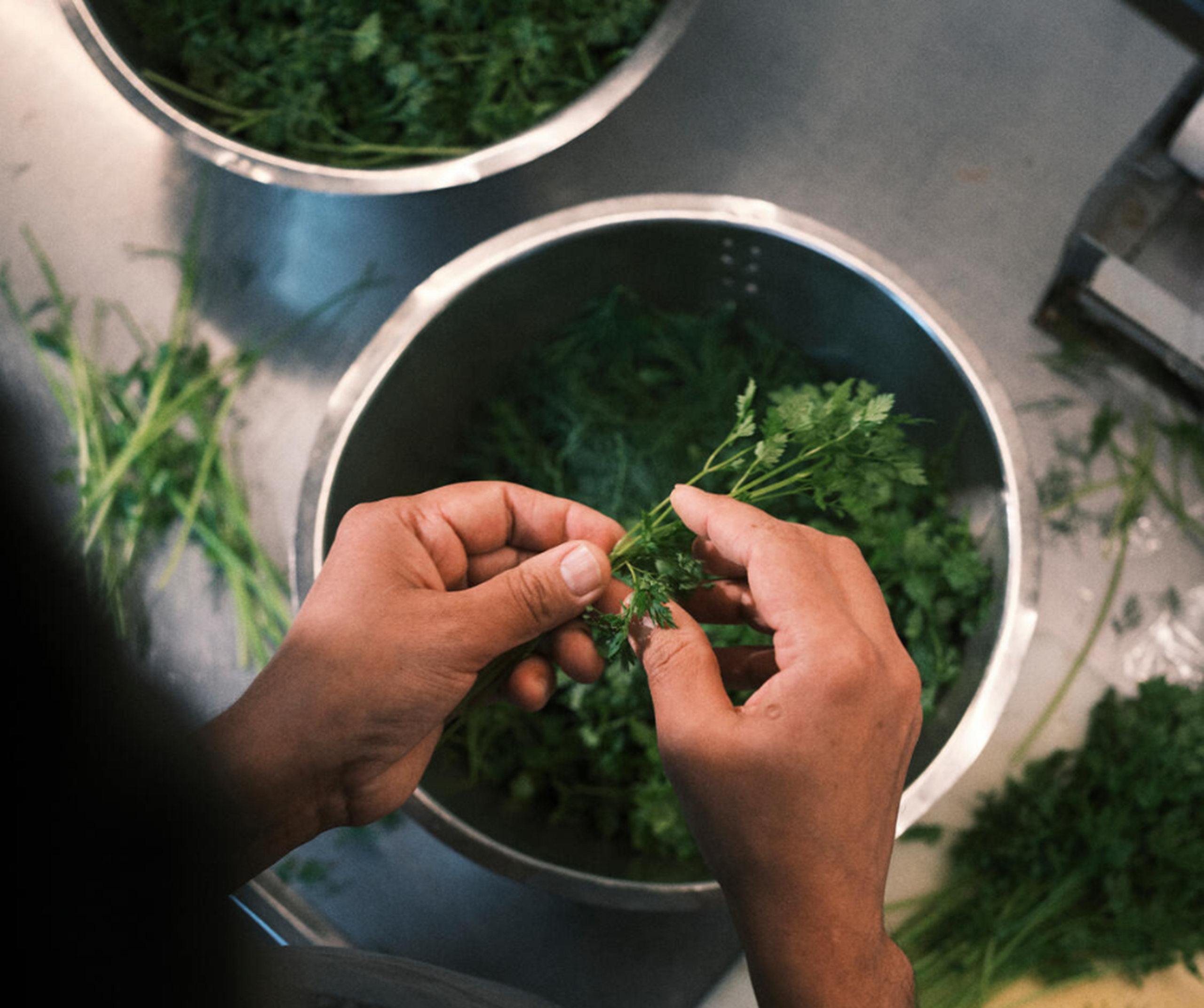 Novonesis vælger Meyers som gastronomisk partner: Skal skabe unik forplejningsløsning på ni lokationer for at understøtte både bæredygtighed og fællesskab