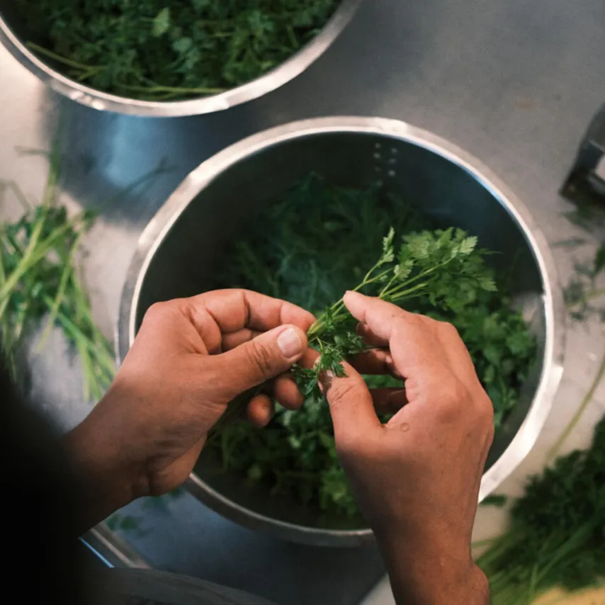 Novonesis vælger Meyers som gastronomisk partner: Skal skabe unik forplejningsløsning på ni lokationer for at understøtte både bæredygtighed og fællesskab