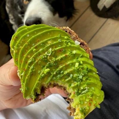 Atelier Septembers avokadomad af Frederik Bille Brahe