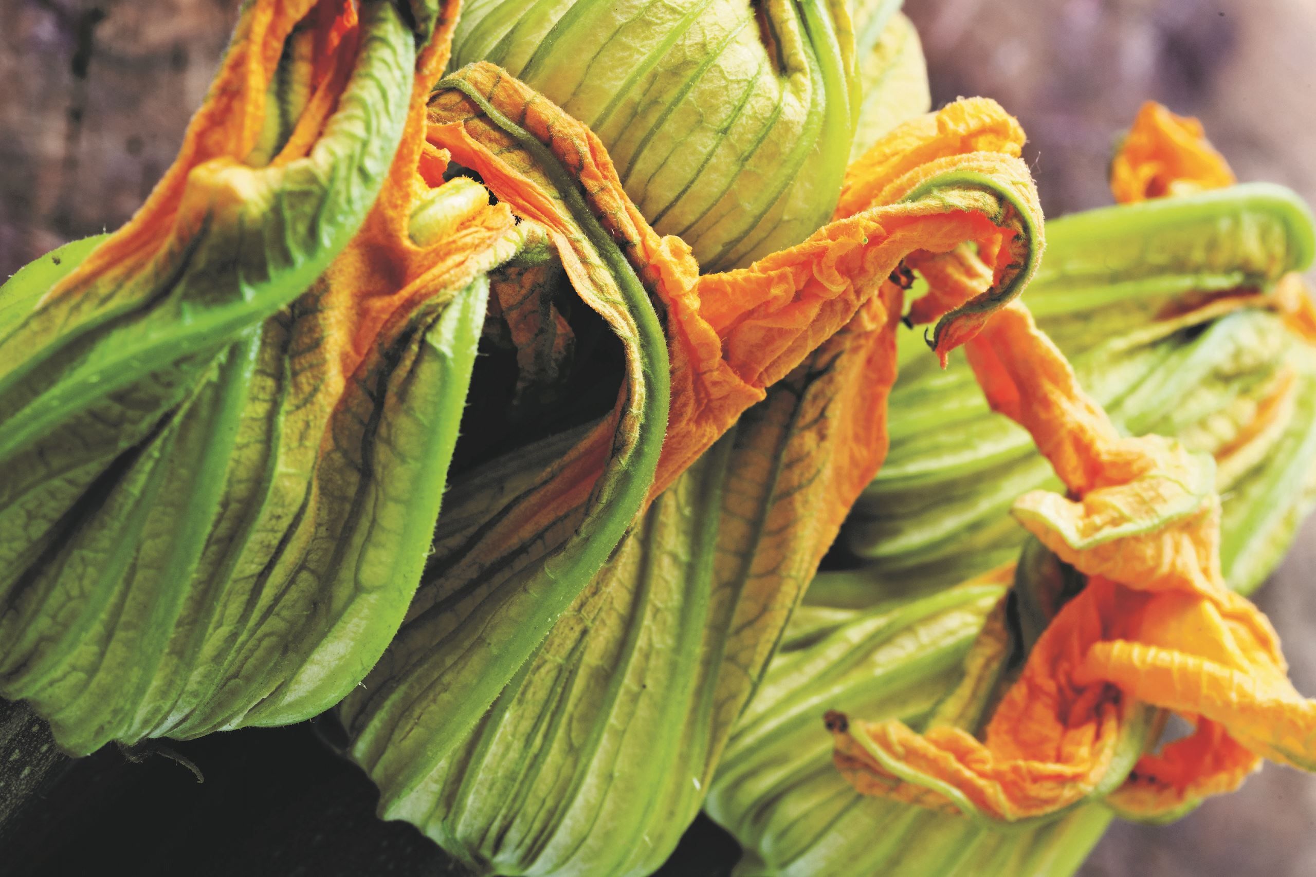 Den grønne fremtid er ankommet