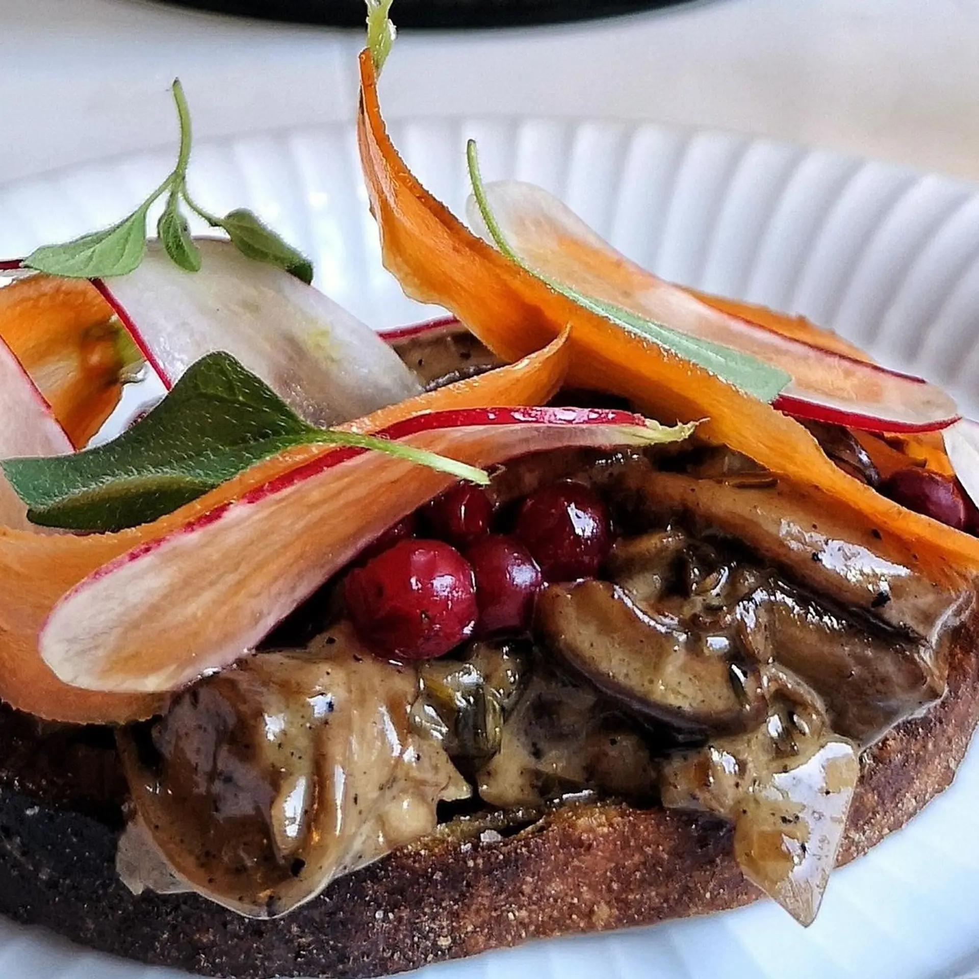 Sprødt ølandsbrød med cremede svampe, tyttebær og frisk oregano