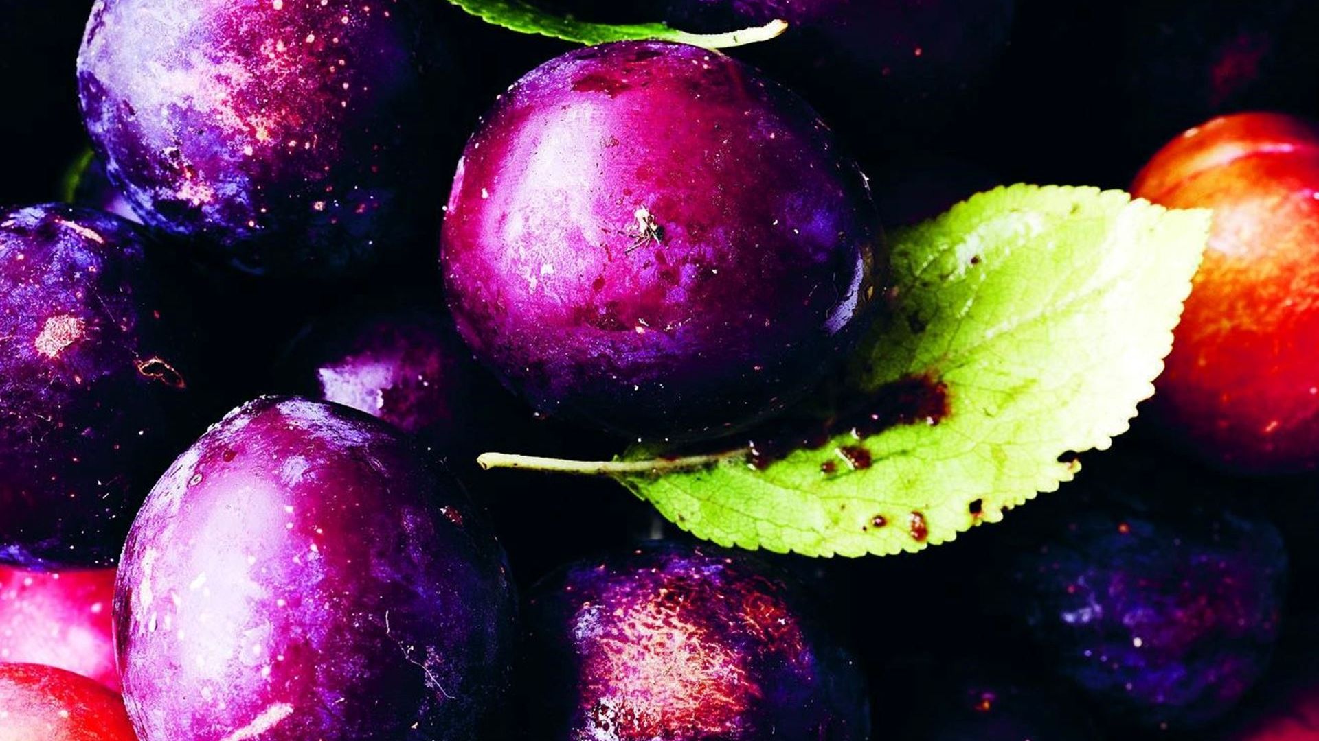 Blommerelish med anis og kanel