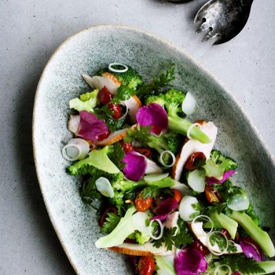 Broccolisalat med varmrøget kylling, sødskærm og hyben