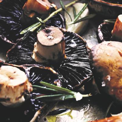 Bagte svampe med cider og hvidlΓΈgβββββο»Ώβο»Ώββββββο»Ώο»Ώβο»Ώβββββββββο»Ώββββββο»Ώββββββο»Ώβββββββο»Ώβο»Ώββββββο»Ώββββββο»Ώβββο»Ώββββο»Ώβββββββο»Ώο»Ώββββββο»Ώββββββββββο»Ώβββββββββββββββο»Ώβββββββββββο»Ώβββο»Ώβββο»Ώβββο»Ώβο»Ώβο»Ώββββο»Ώο»Ώββο»Ώο»Ώββο»Ώββββββο»Ώβββββββο»Ώβββο»Ώβο»Ώββο»Ώββο»Ώβο»Ώββββββο»Ώββββββο»Ώβββο»Ώββββο»Ώββο»Ώβο»Ώβο»Ώβββο»Ώββββββββββββο»Ώο»Ώββο»Ώο»Ώββββββο»Ώββο»Ώββββββββο»Ώββο»Ώββββο»Ώο»Ώβββββββββββββο»Ώββββο»Ώο»Ώββο»Ώβββο»Ώο»Ώβββββββββο»Ώο»Ώββο»Ώβββο»Ώβββββββο»Ώβο»Ώββββββο»Ώββο»Ώβββββββο»Ώββββββββο»Ώο»Ώββο»Ώββο»Ώβο»Ώβββββββββο»Ώο»Ώββββββο»Ώβο»Ώβββο»Ώβο»Ώβββο»Ώβο»Ώβββββββββο»Ώββββο»Ώββββββο»Ώβββο»Ώββββββββο»Ώββο»Ώβββββο»Ώβο»Ώβββο»Ώββββο»Ώββο»Ώβββο»Ώβο»Ώβββββο»Ώββββο»Ώββββββββο»Ώβο»Ώβββββββββββο»Ώβο»Ώβββββο»Ώβββββο»Ώβο»Ώβββο»Ώβββββββο»Ώβο»Ώβο»Ώβββο»Ώβββο»Ώβββββββο»Ώο»Ώββο»Ώβββββββββο»Ώβββββο»Ώβββββββο»Ώβο»Ώβο»Ώβββββββο»Ώβββββββο»Ώο»Ώβββββββο»Ώββββββββο»Ώββββββο»Ώβββββββο»Ώββο»Ώβββο»Ώο»Ώο»Ώβββββββββο»Ώβο»Ώβββββββββο»Ώββββο»Ώββο»Ώο»Ώββββββο»Ώβββο»Ώβββο»Ώβββο»Ώβο»Ώβββββο»Ώβο»Ώβββββββββο»Ώβββββββββββο»Ώββββββββο»Ώββββββο»Ώβββββββο»Ώβββο»Ώβο»Ώββο»Ώββο»Ώβο»Ώββββββο»Ώββββββο»Ώβββο»Ώββββο»Ώββο»Ώβο»Ώβο»Ώβββο»Ώββββββββββββο»Ώο»Ώβββββββββββββο»Ώο»Ώββββββο»Ώβο»Ώβββο»Ώβο»Ώβββο»Ώβο»Ώβββββββββο»Ώββββο»Ώββββββο»Ώβββο»Ώββββββββο»Ώββο»Ώβββββο»Ώβο»Ώβββο»Ώββββο»Ώββο»Ώβββο»Ώβο»Ώβββββο»Ώββββο»Ώββββββββο»Ώβο»Ώβββββββββββο»Ώβο»Ώβββββο»Ώβββββο»Ώβο»Ώβββο»Ώβββββββββββο»Ώβββο»Ώβββο»Ώβββββββο»Ώο»Ώββο»Ώβββββββββο»Ώβββββο»Ώβββββββββββο»Ώβββββββο»Ώβββββββο»Ώο»Ώβββββββο»Ώββββββββο»Ώββββββο»Ώβββββββο»Ώββο»Ώβββββββο»Ώβββββββο»Ώβββο»Ώβο»Ώβο»Ώβββββββββο»Ώβο»Ώβββββββο»Ώβββββββο»Ώο»Ώββο»Ώβββο»Ώββββββββο»Ώββββββο»Ώβο»Ώβββββββββββββββββο»Ώο»Ώβ