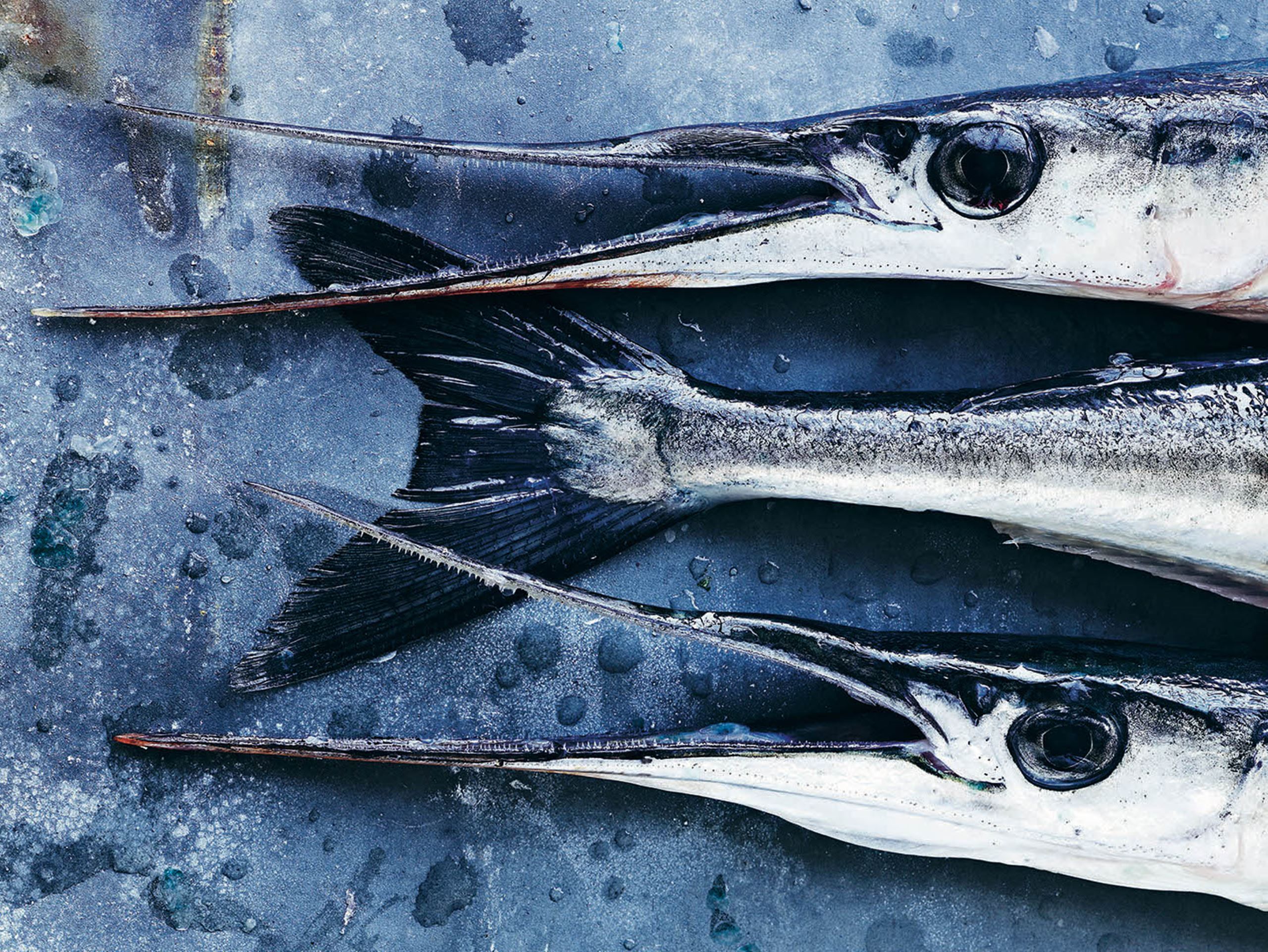 Inspiration og opskrifter