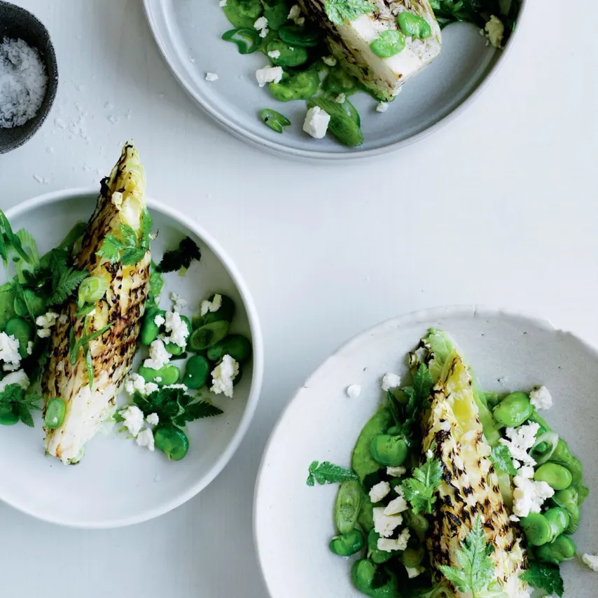 Grillet spidskål med hestebønner, feta og urter