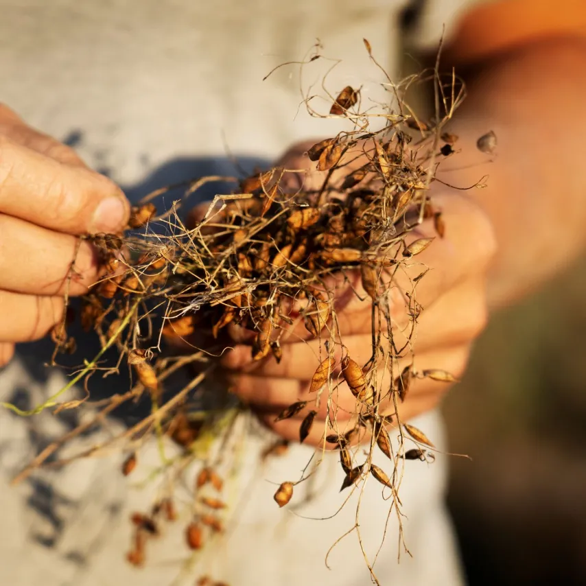 Bæredygtighed: foreløbige resultater